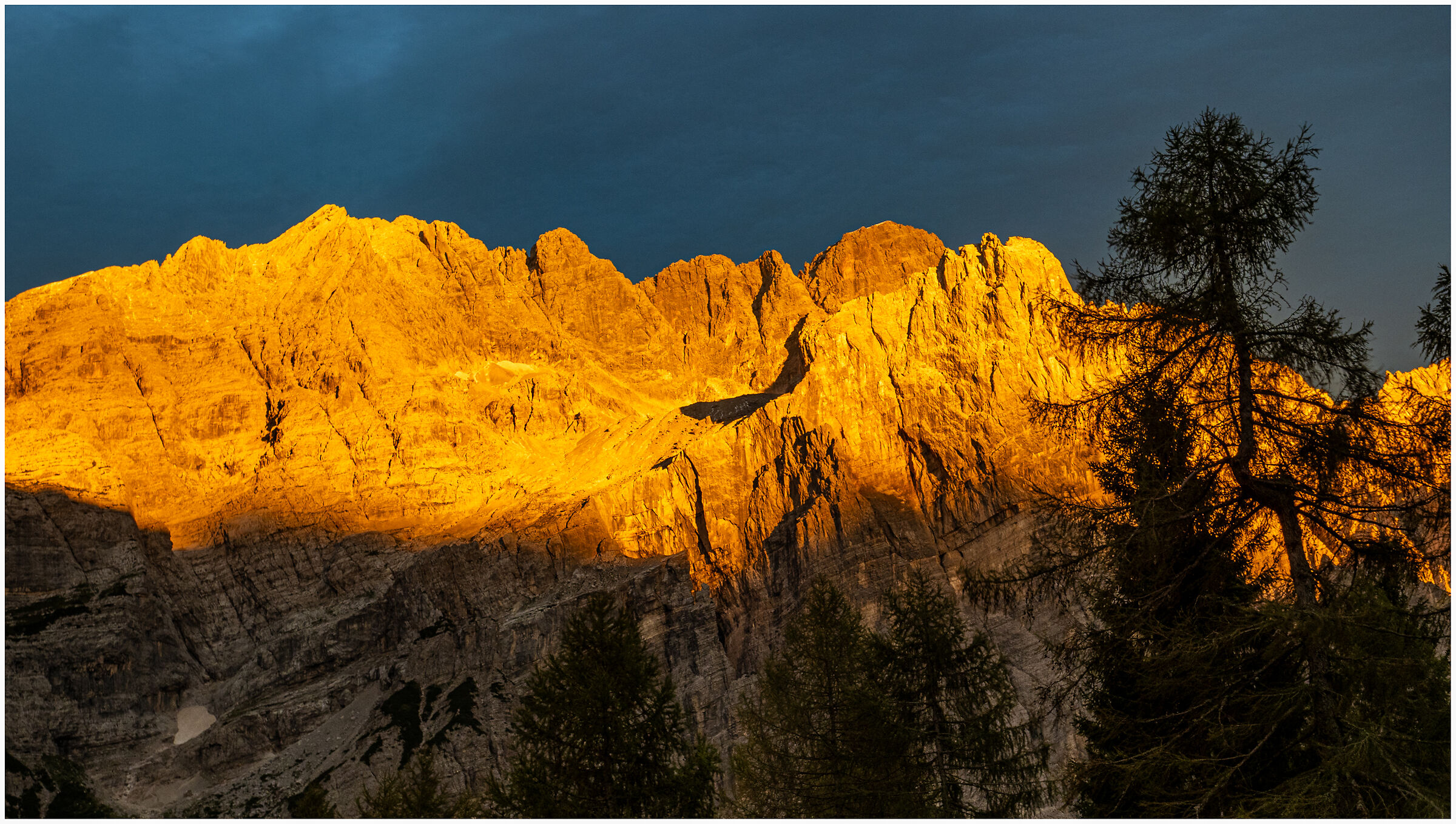 surprise of the 15th