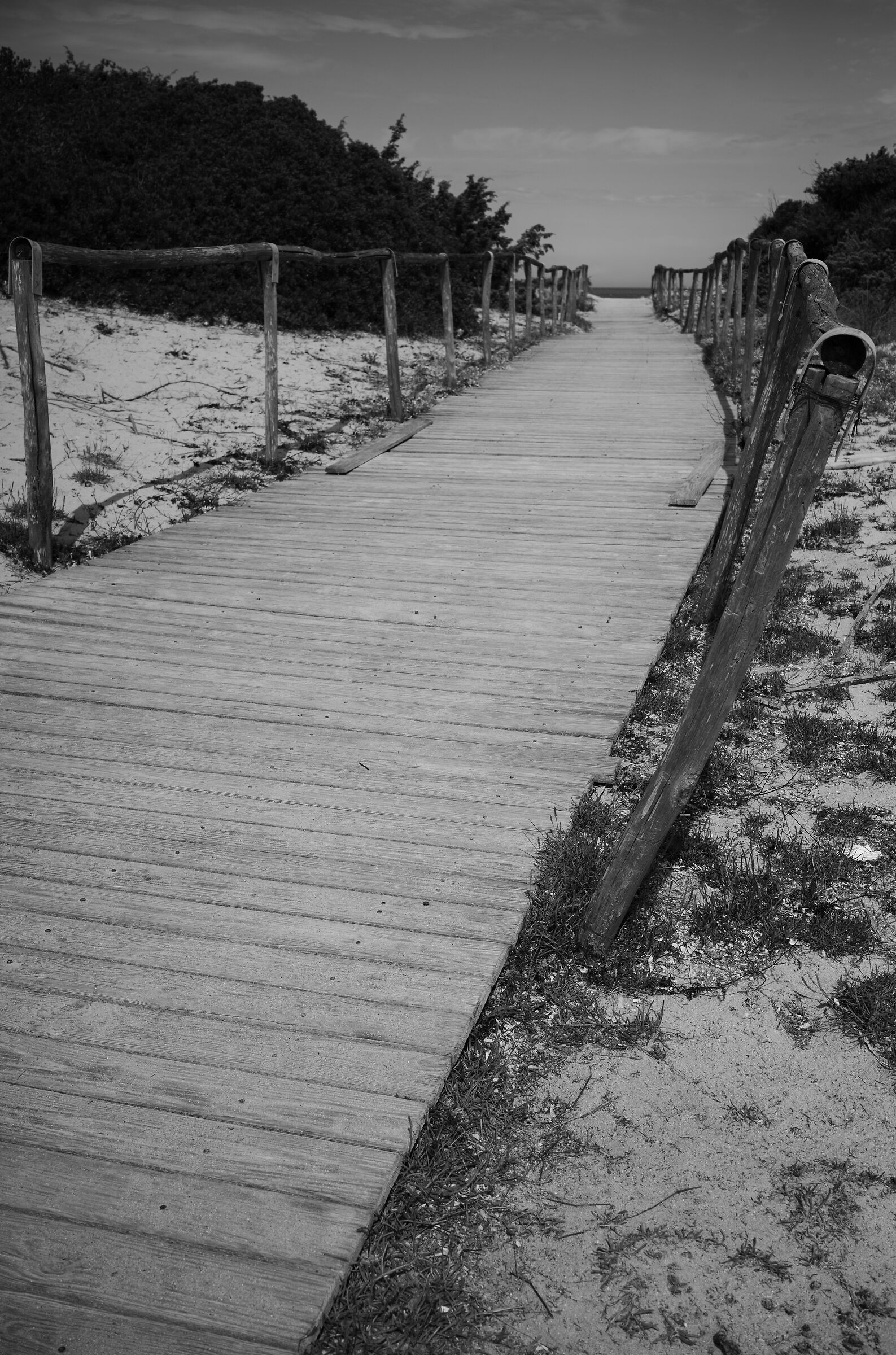 From the salt pan to the sea