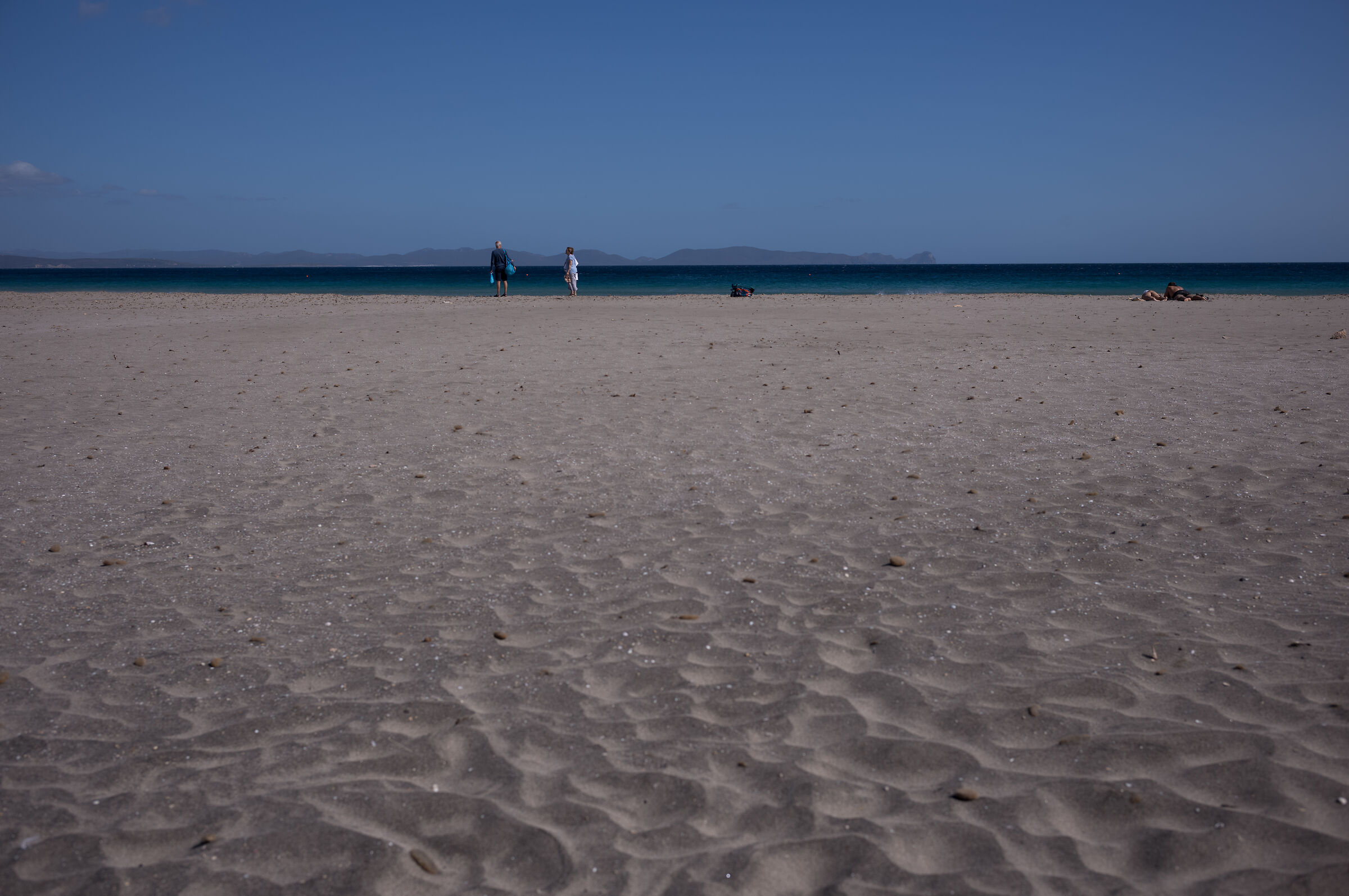 Late summer 'vital' space