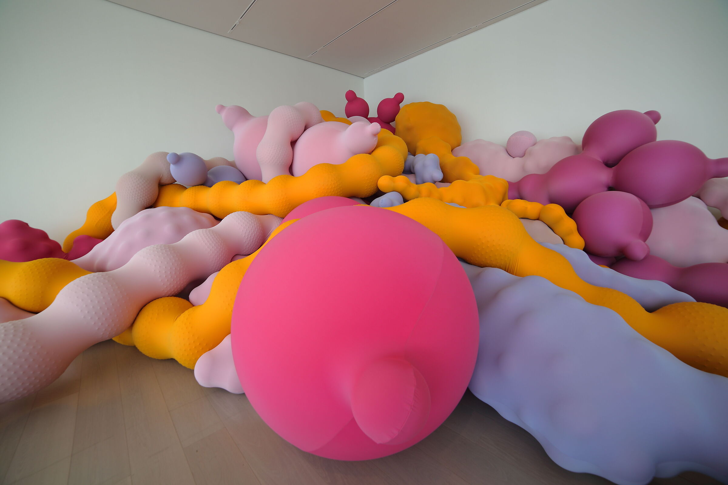 "In the belly of the exhibition"