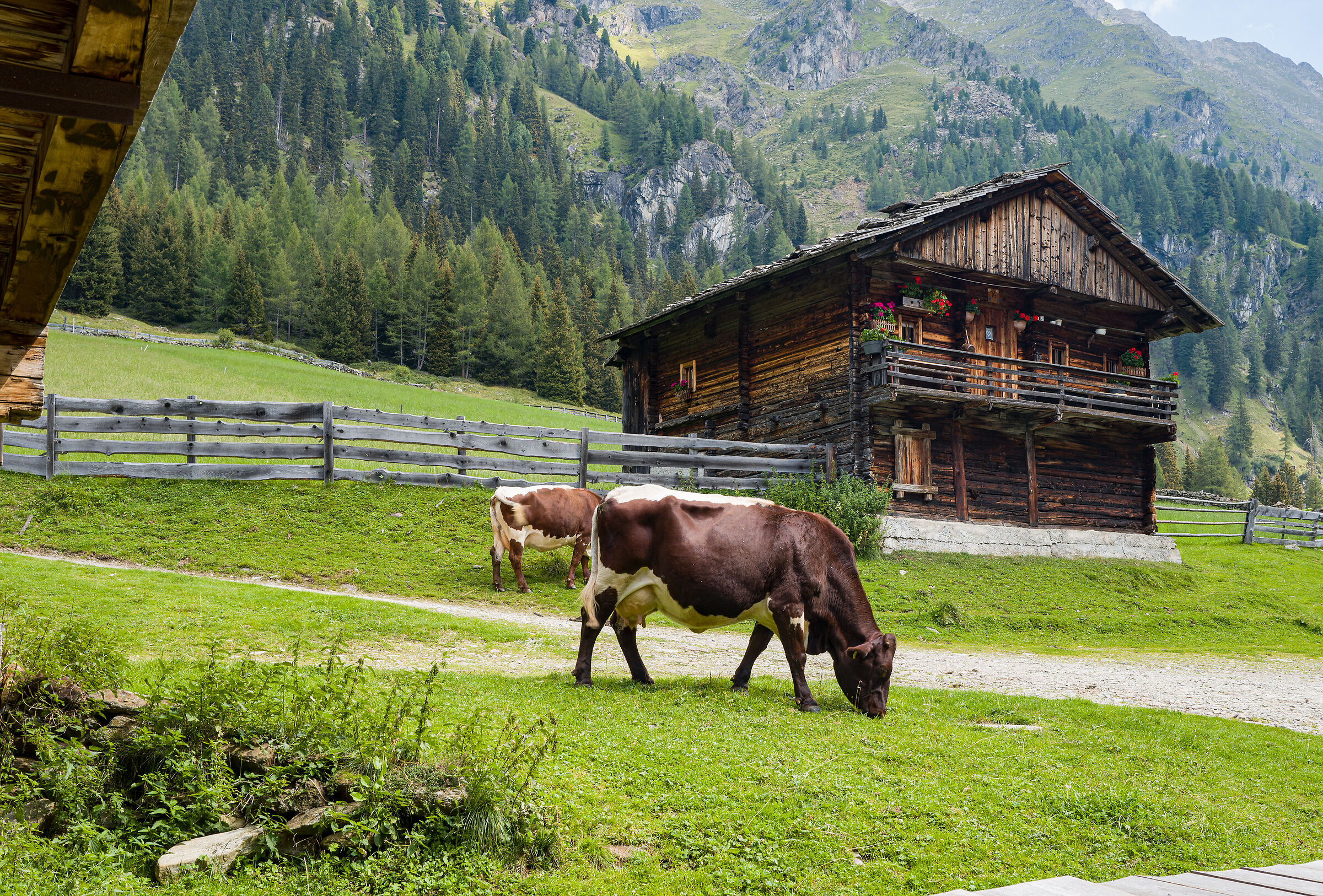 Oberstalleralm (Austria)
