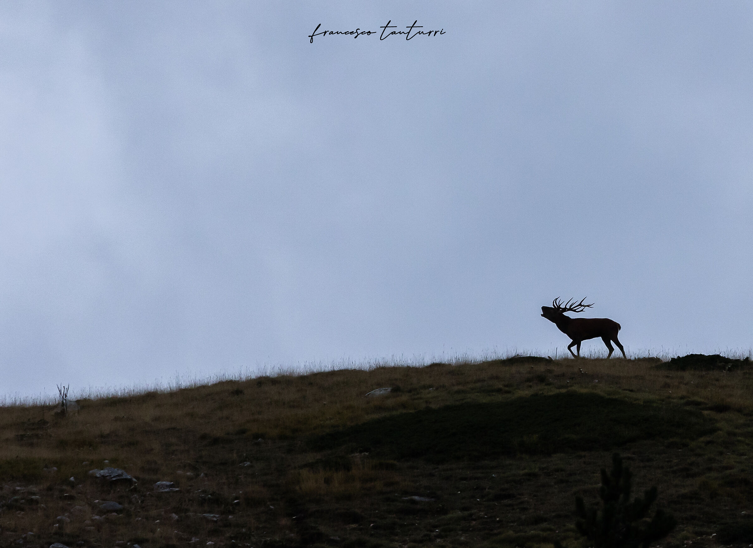 On the edge of the ridge