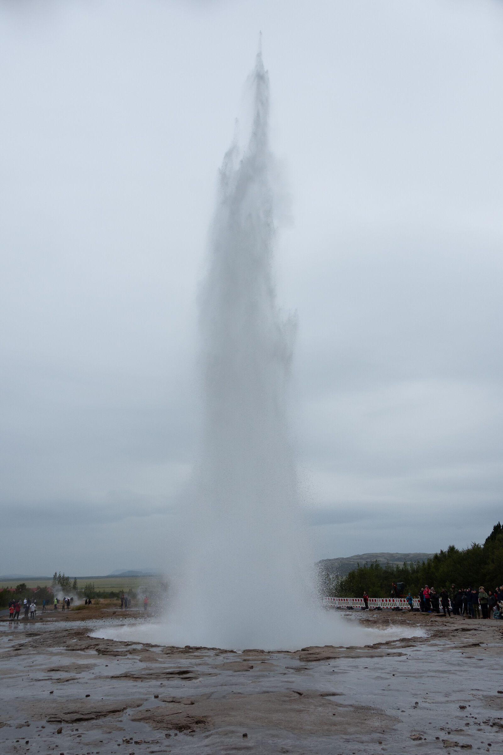 Geysir