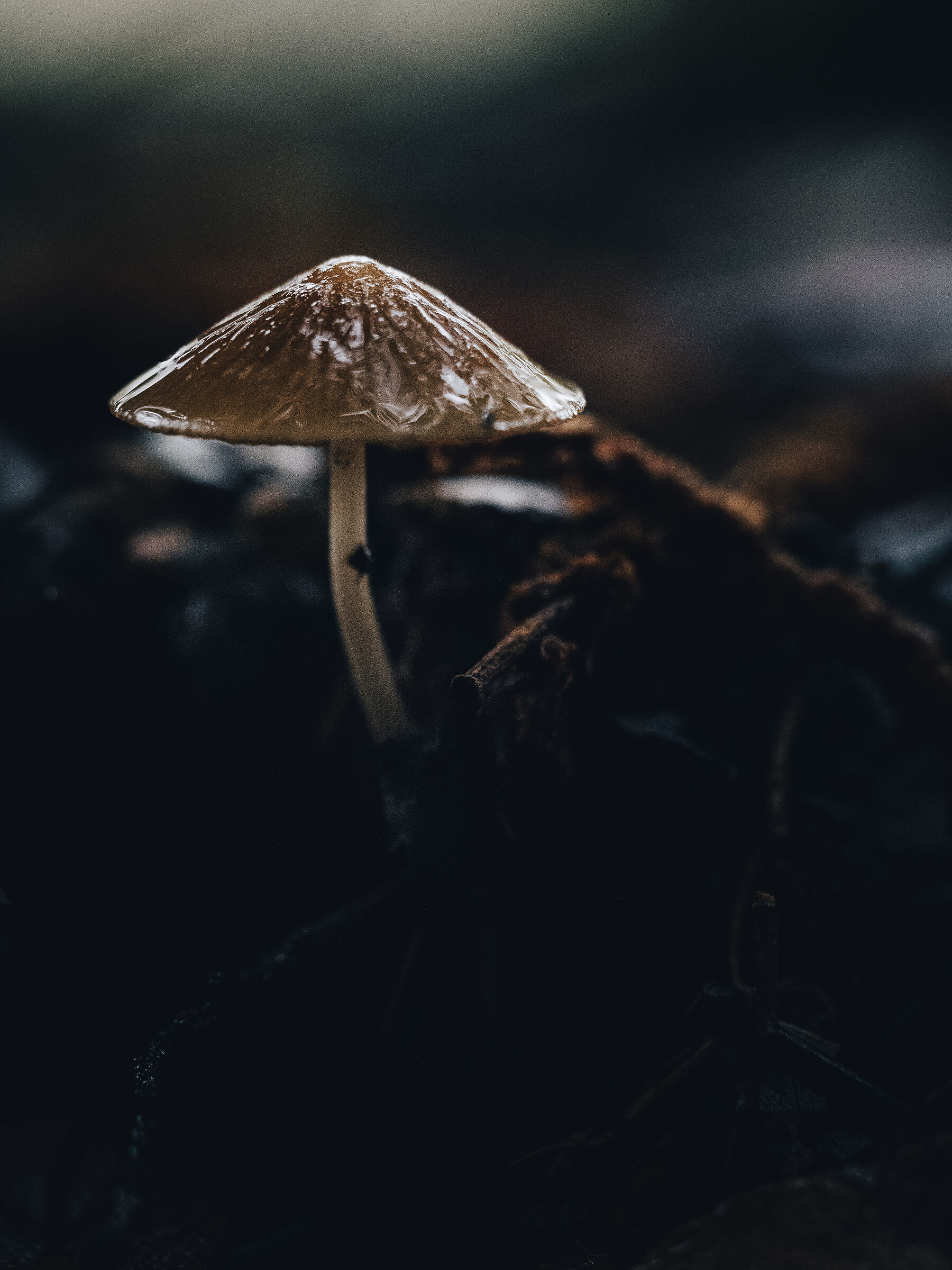 Ritorna l'Autunno, finalmente!