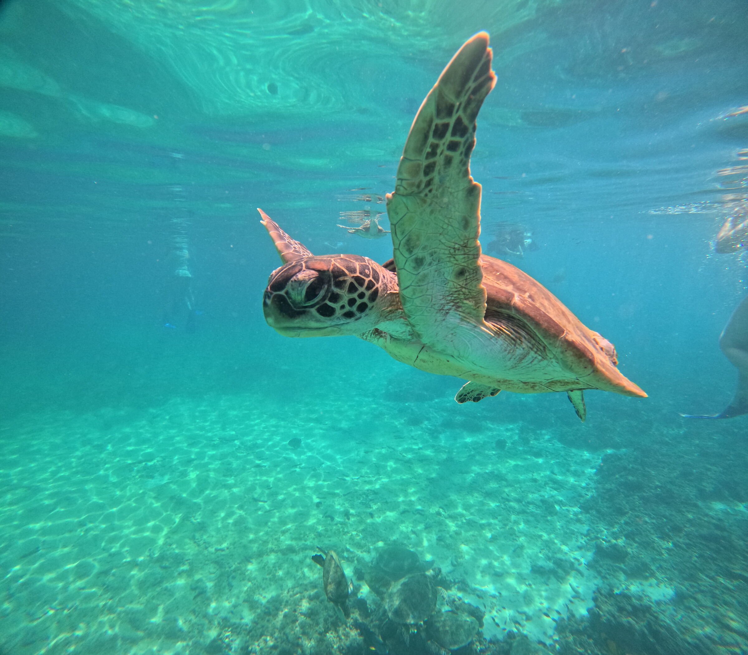 Incontri ravvicinati