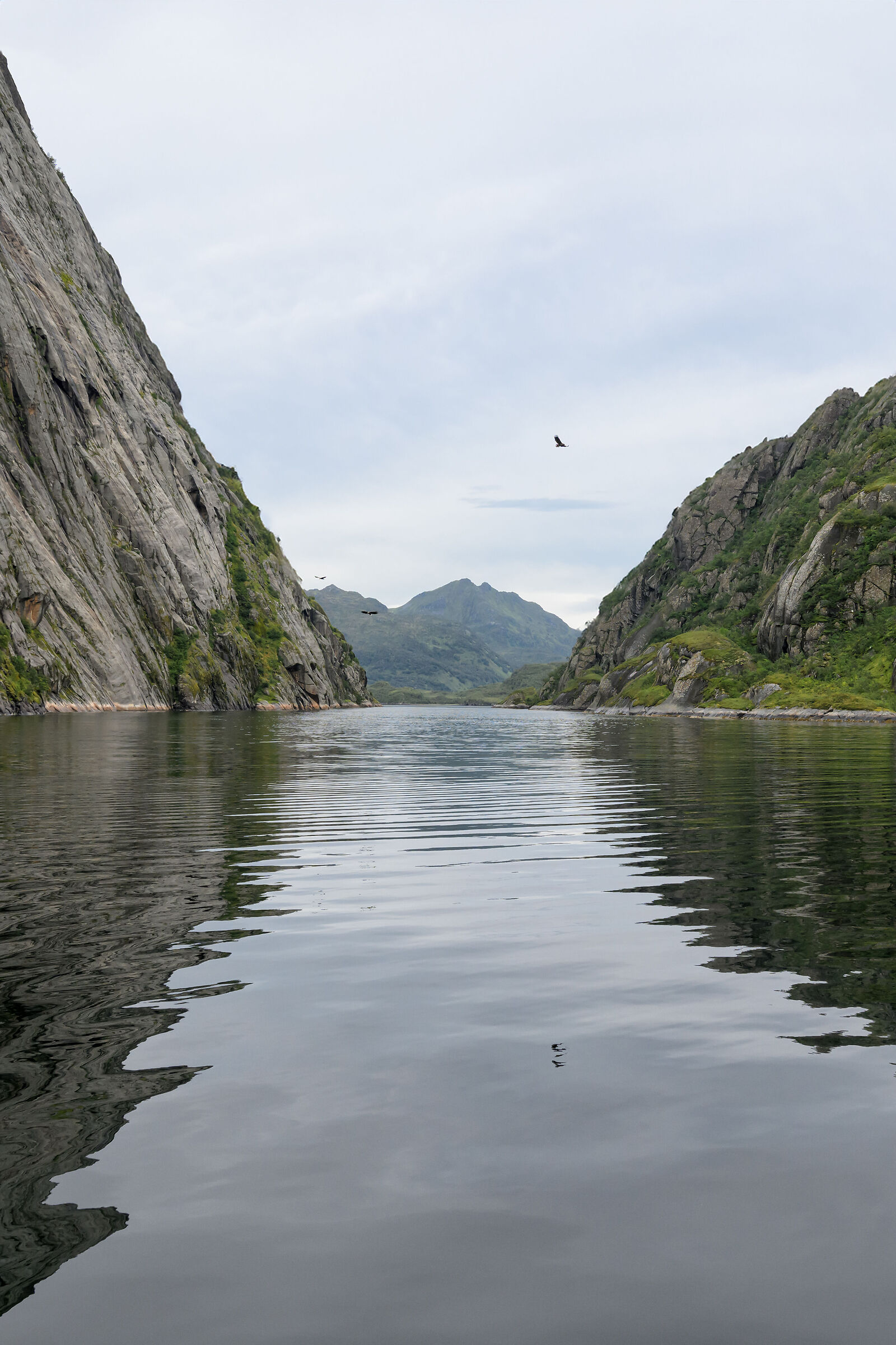 Trollfjord (Vesteralen Islands)