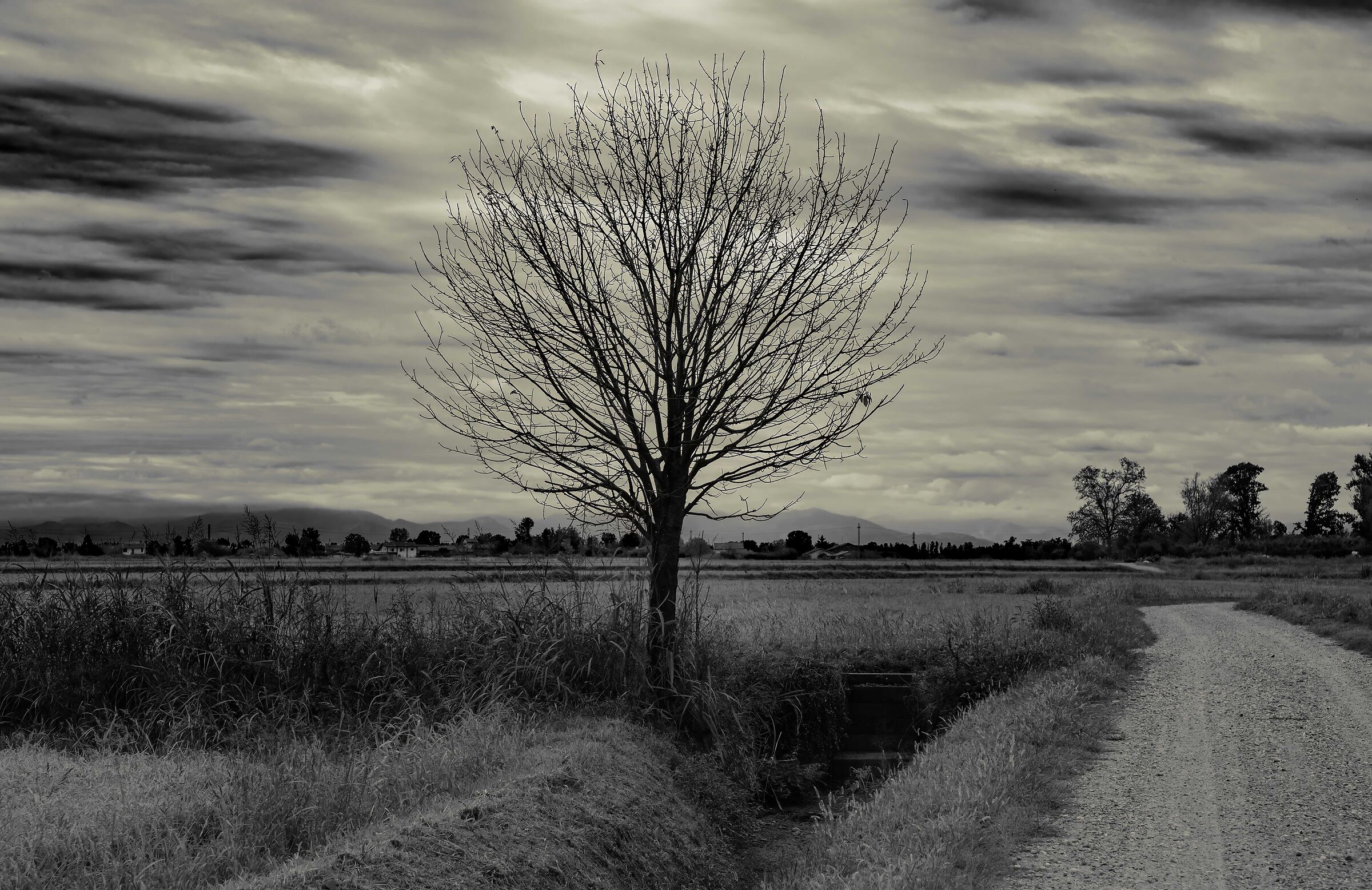 Ei fu. Siccome immobile