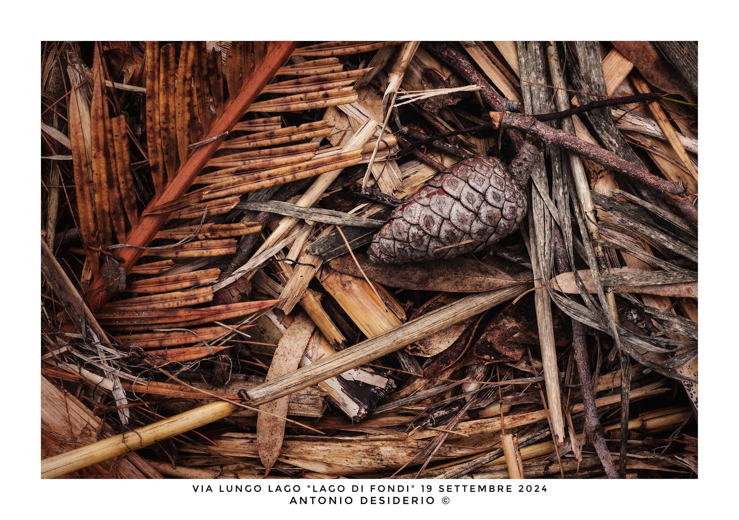 First signs of autumn