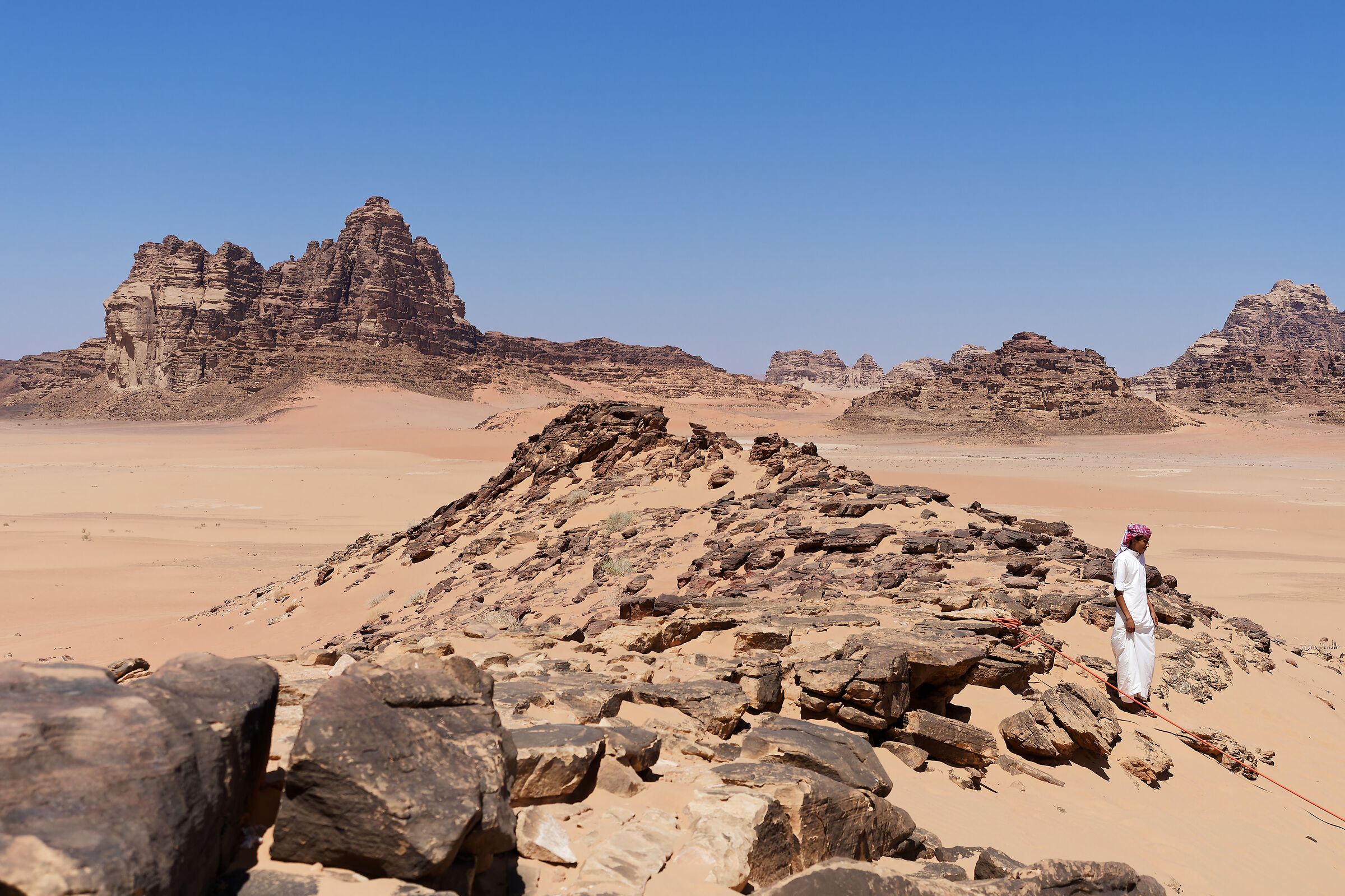 We are the desert
