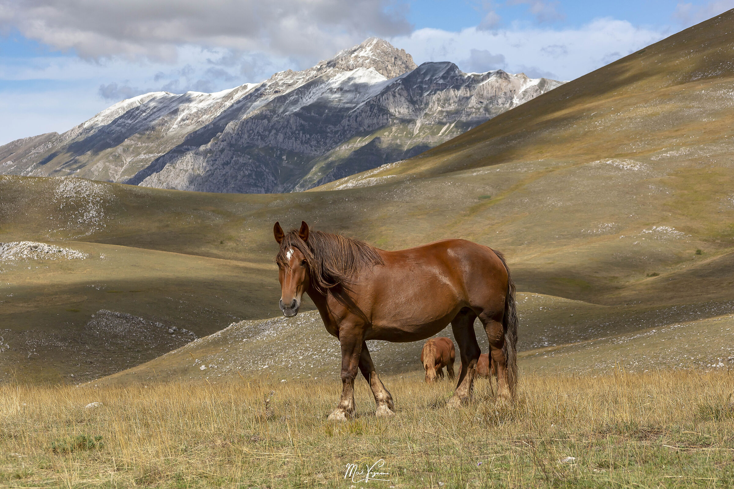 La natura è felicità