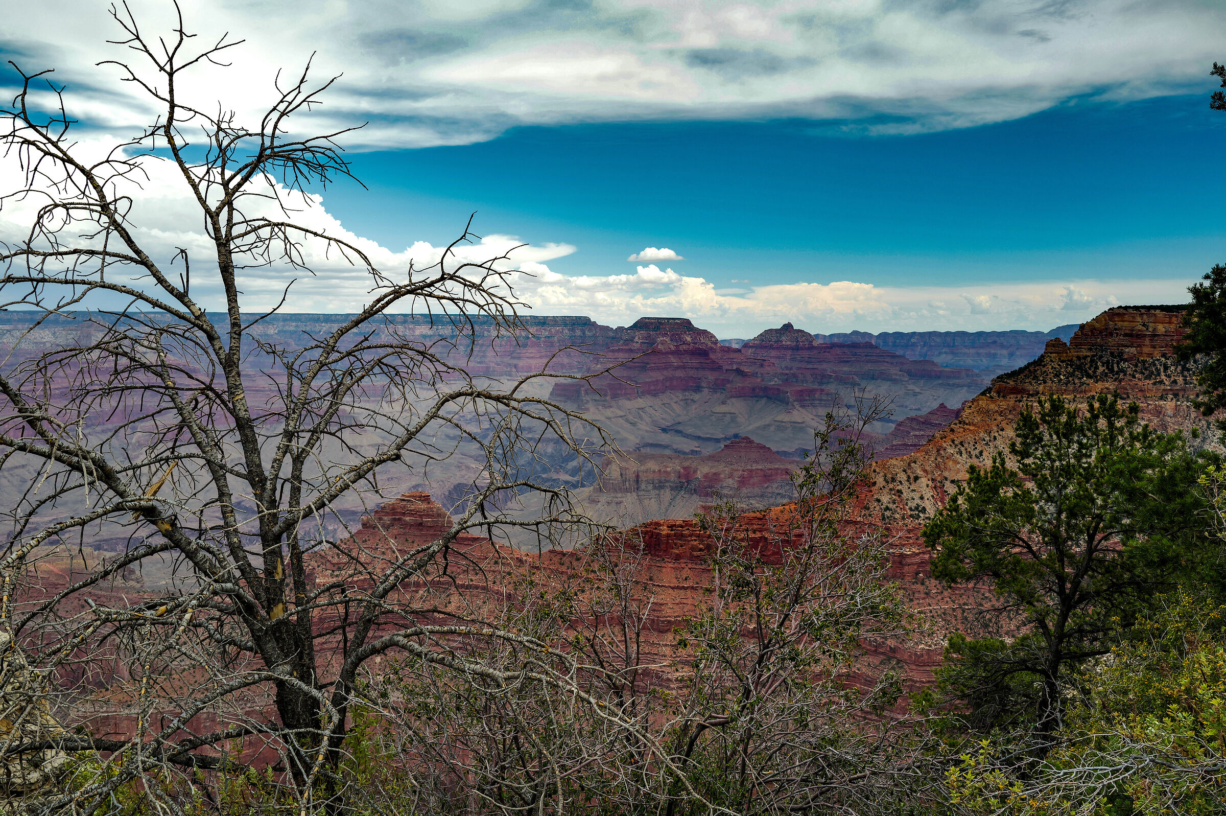 Grand Canyon National Park
