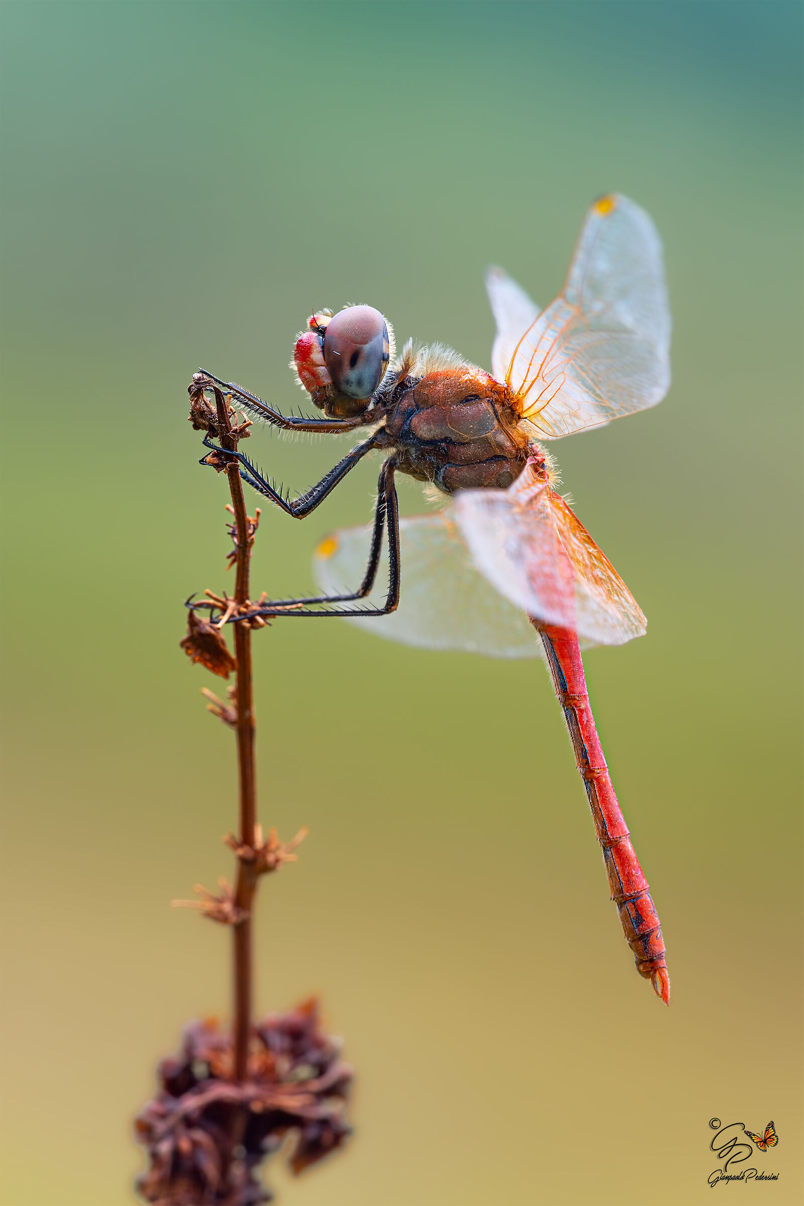 Colori di fine estate