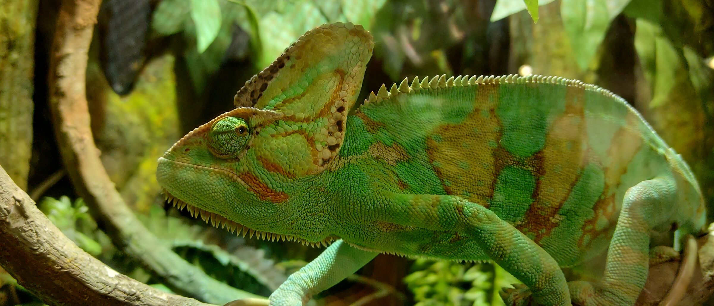 How to adapt to everything