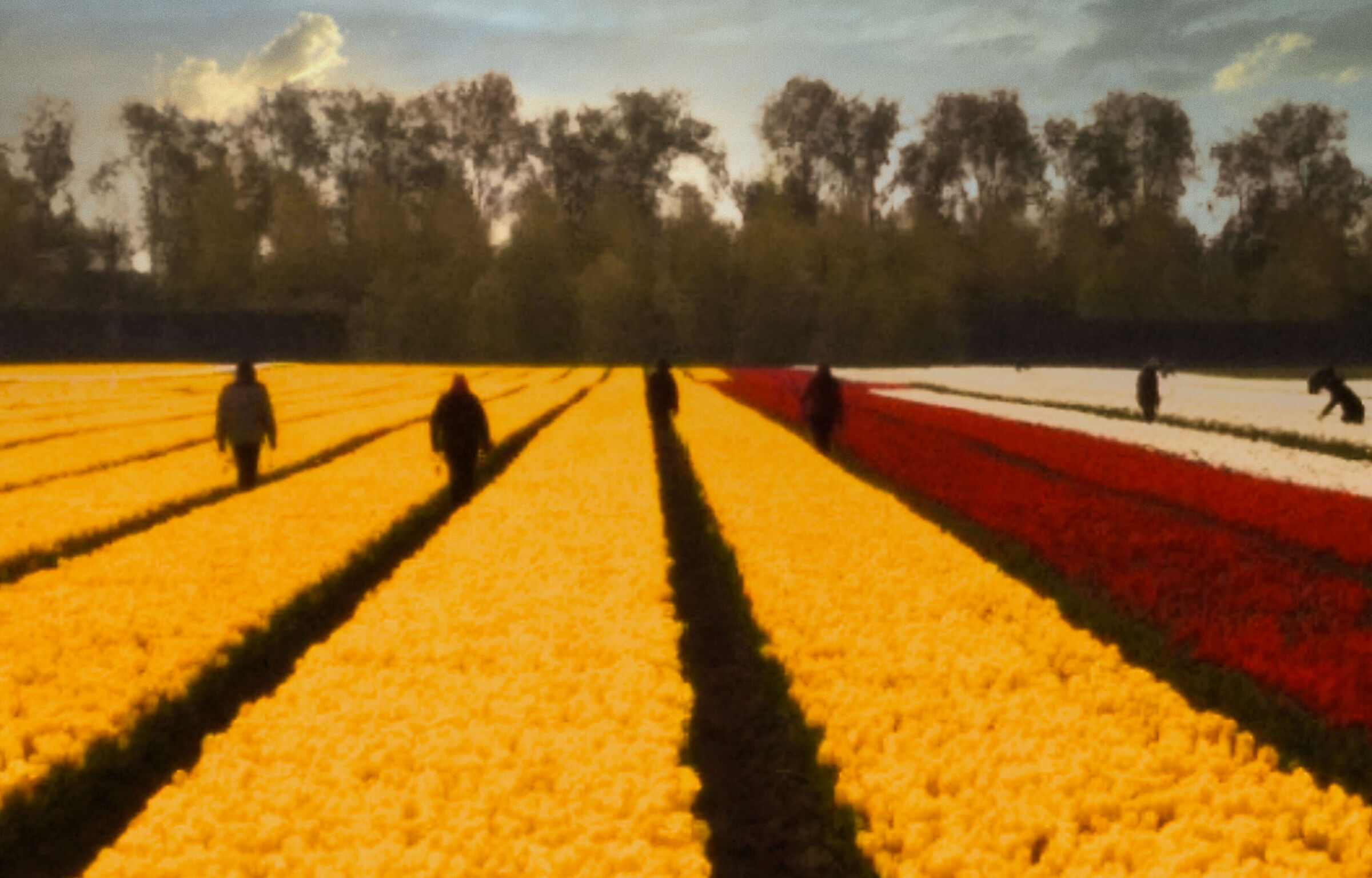 Impressionist Holland
