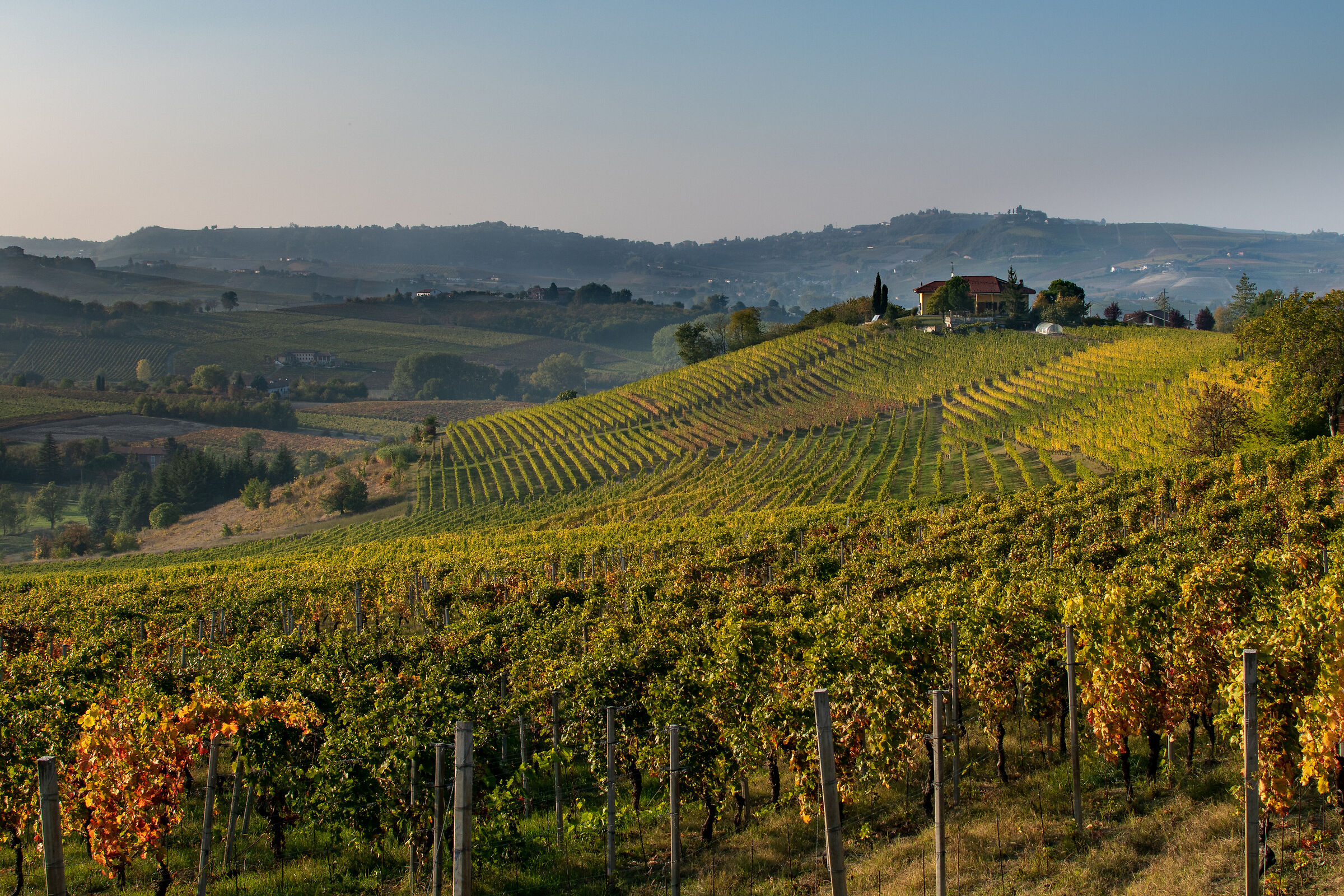 Hills of Calosso (At)
