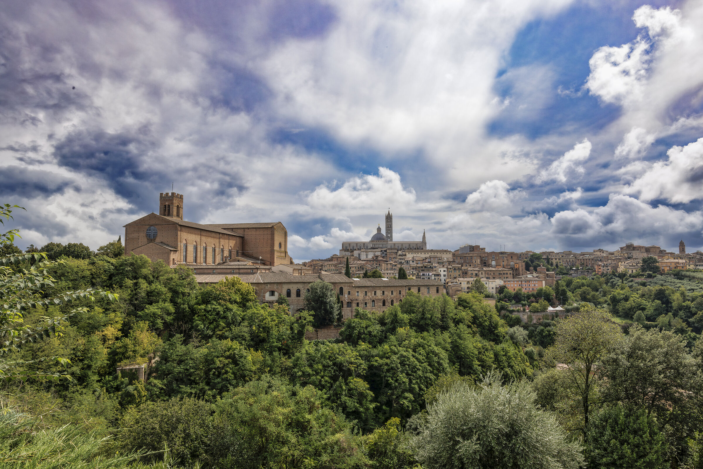 Siena