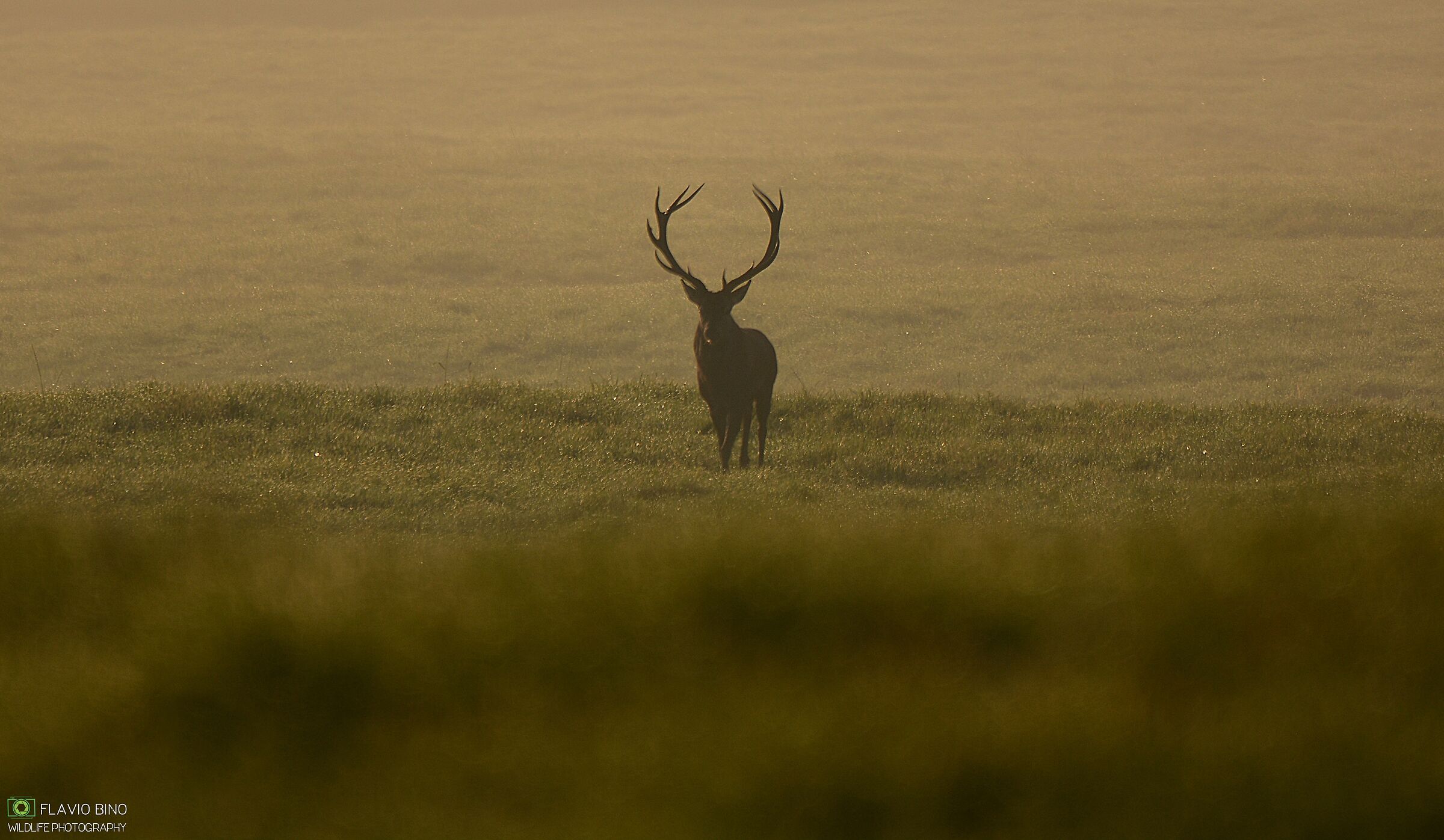 At dawn