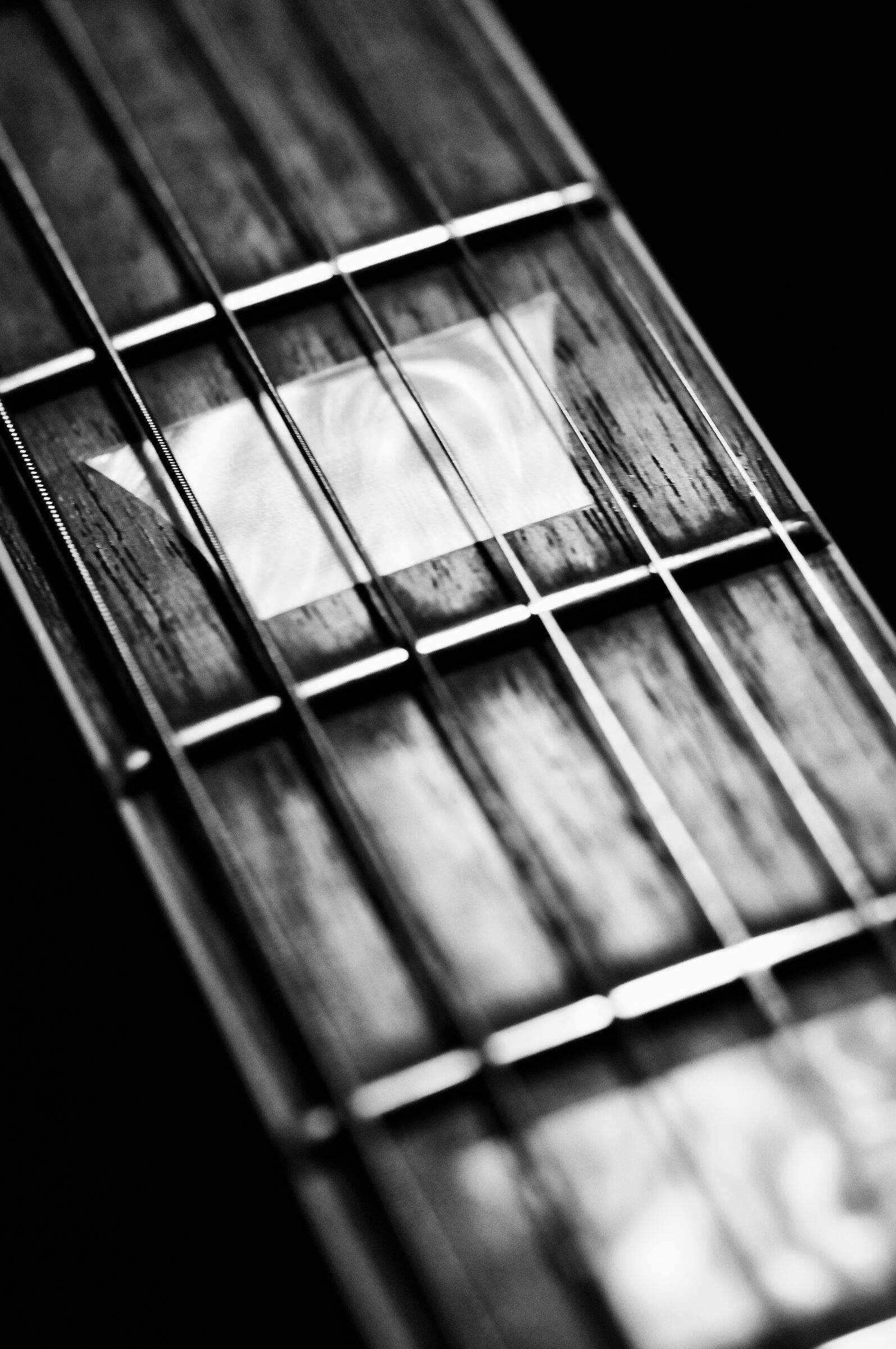Untitled Photo