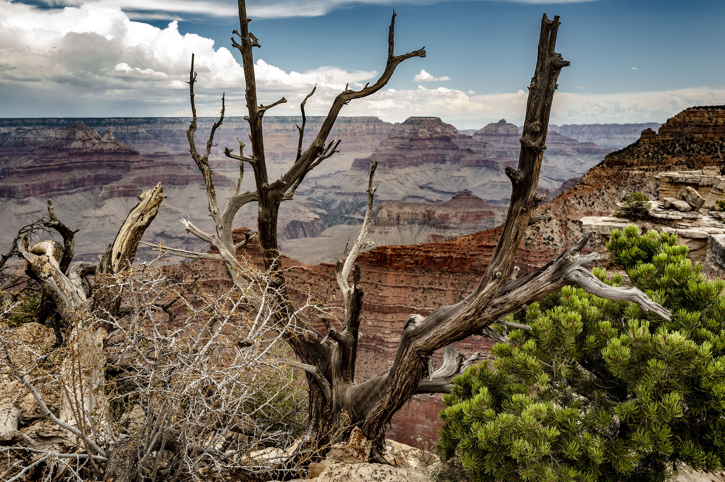 Grand Canyon National Park