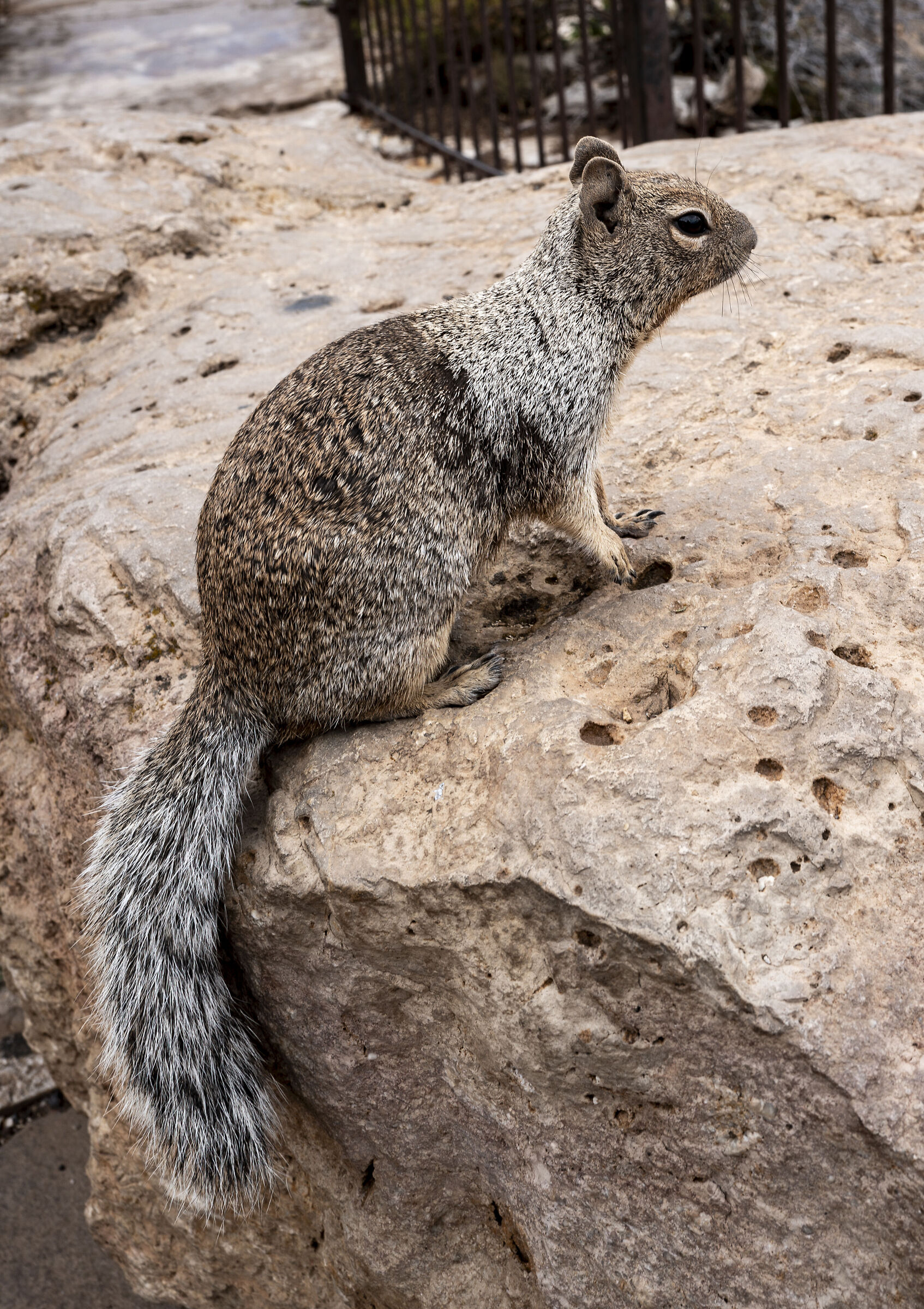 Grand Canyon National Park