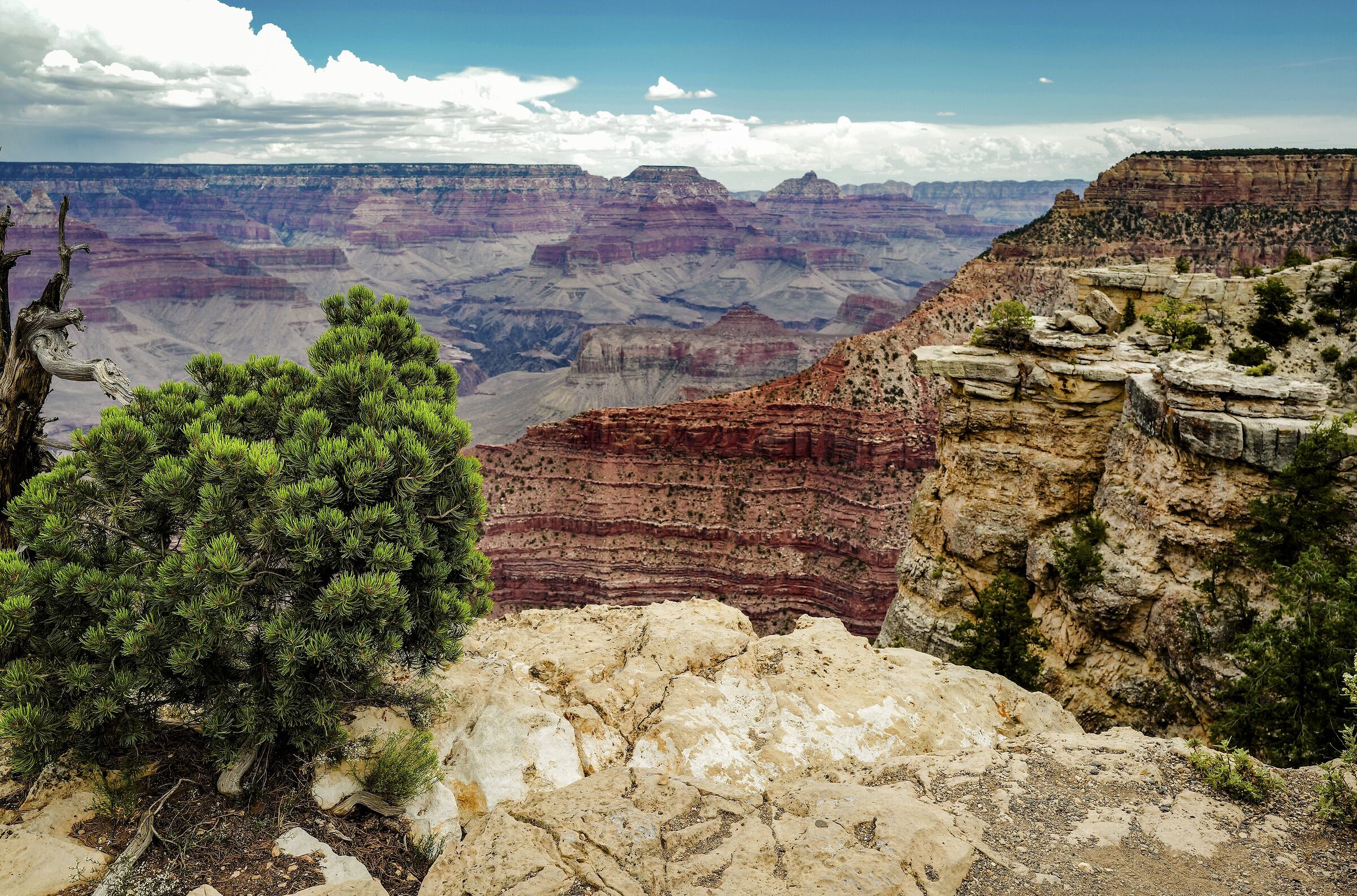 Grand Canyon National Park