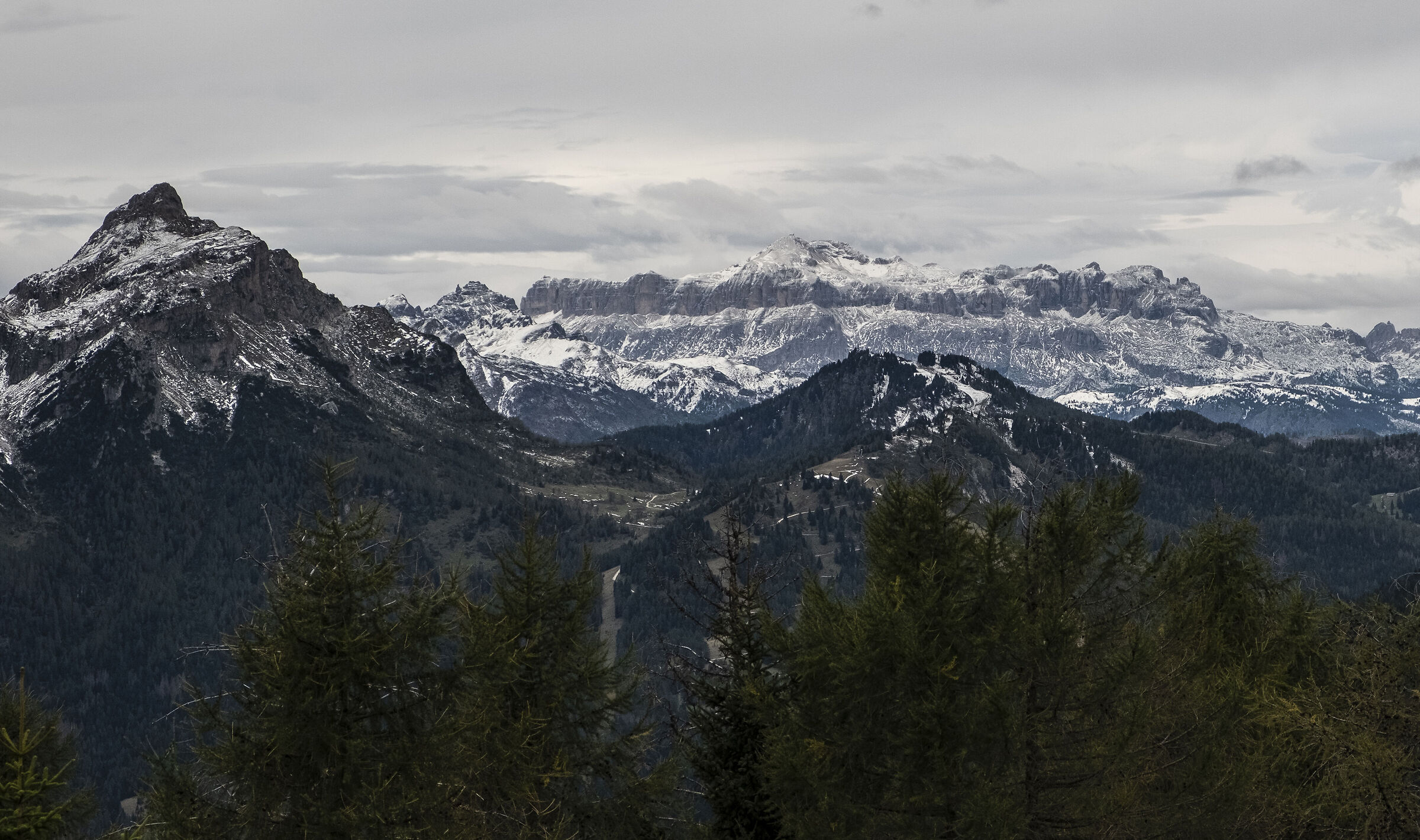 the Sella Group