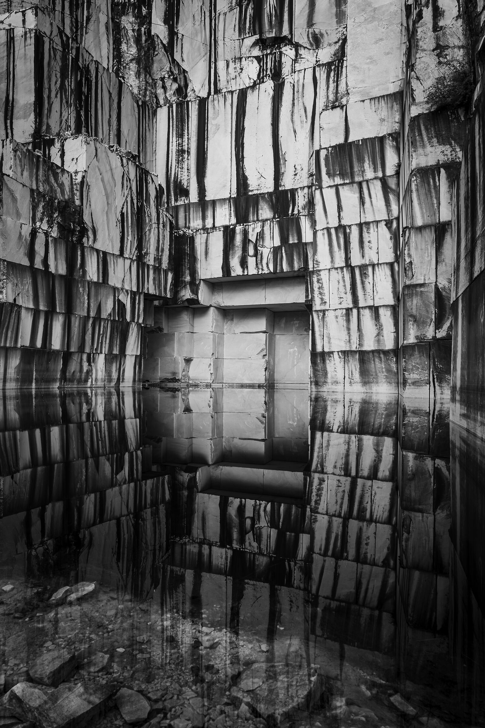 Untitled Photo