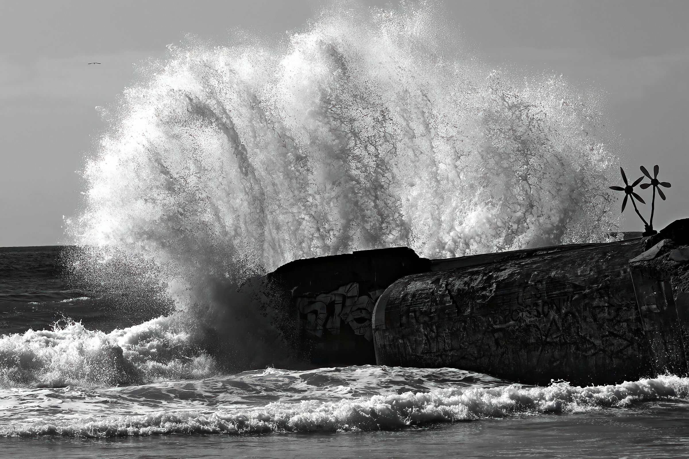 PLAGE DE KERMAREC - FINISTERE - 04-08-2024