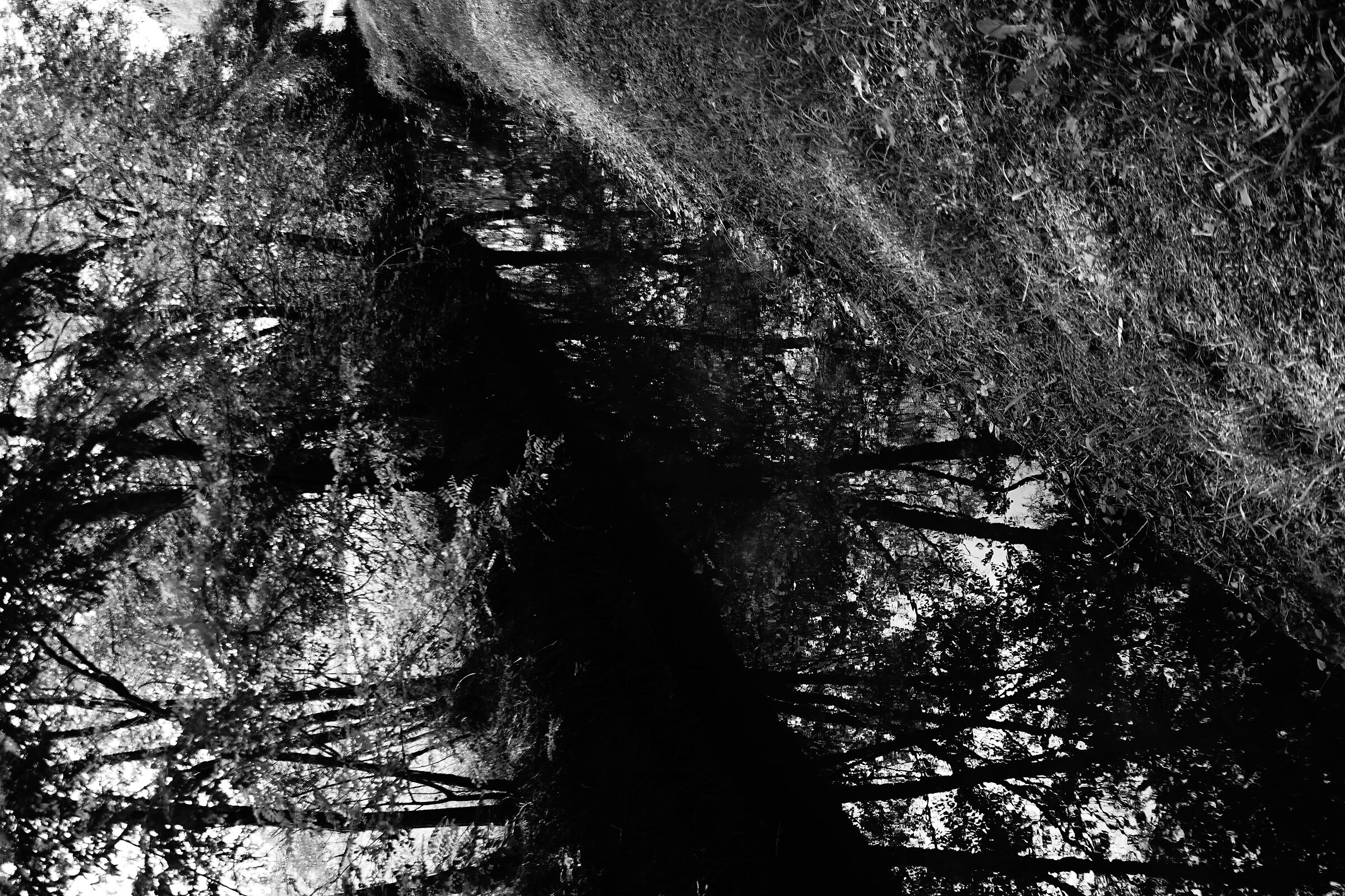 Canale di irrigazione 14