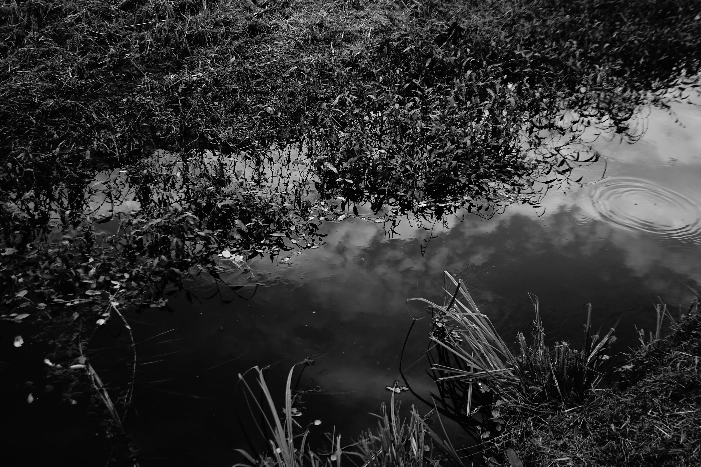 Cielo di inizio autunno nel fosso