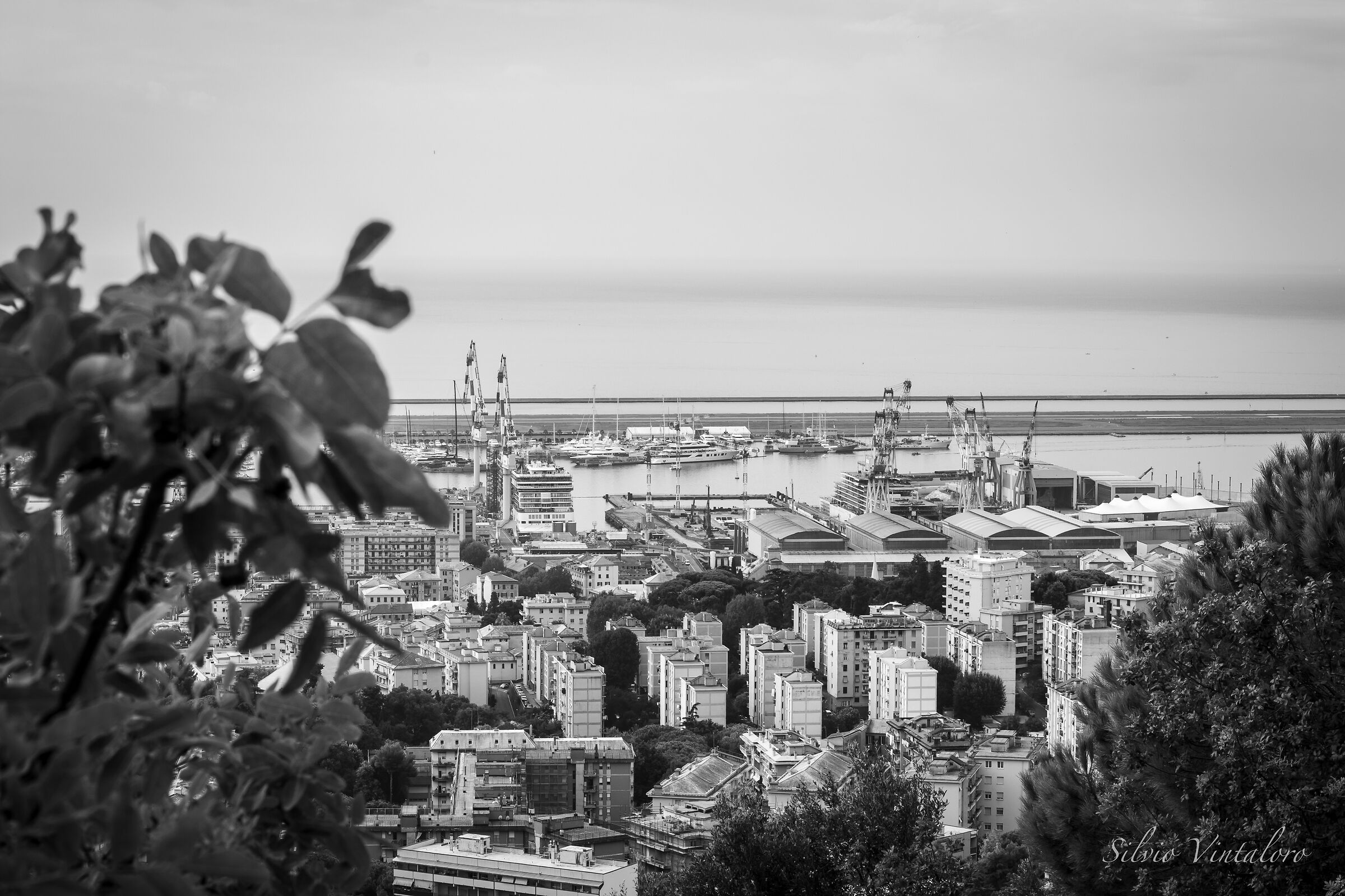 From Monte Gazzo (Sestri Ponente)