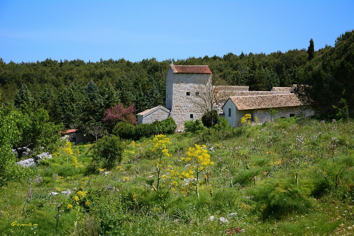 Masseria San Antonio - Forest Mercadante