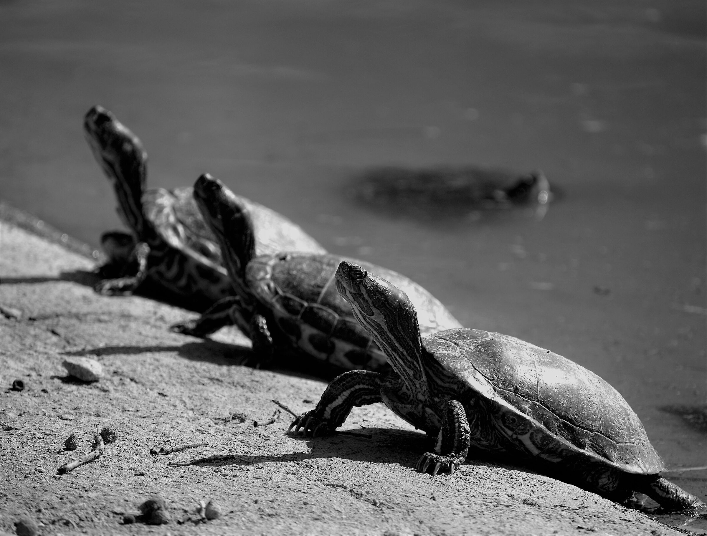 Break the lines, the water is hot....