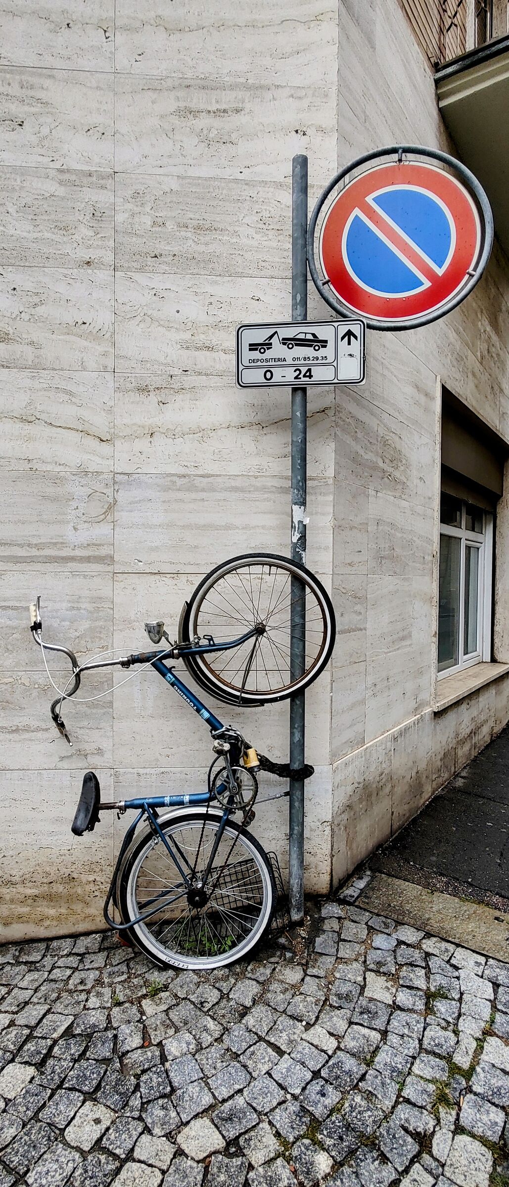 Parcheggio ad mentula canis