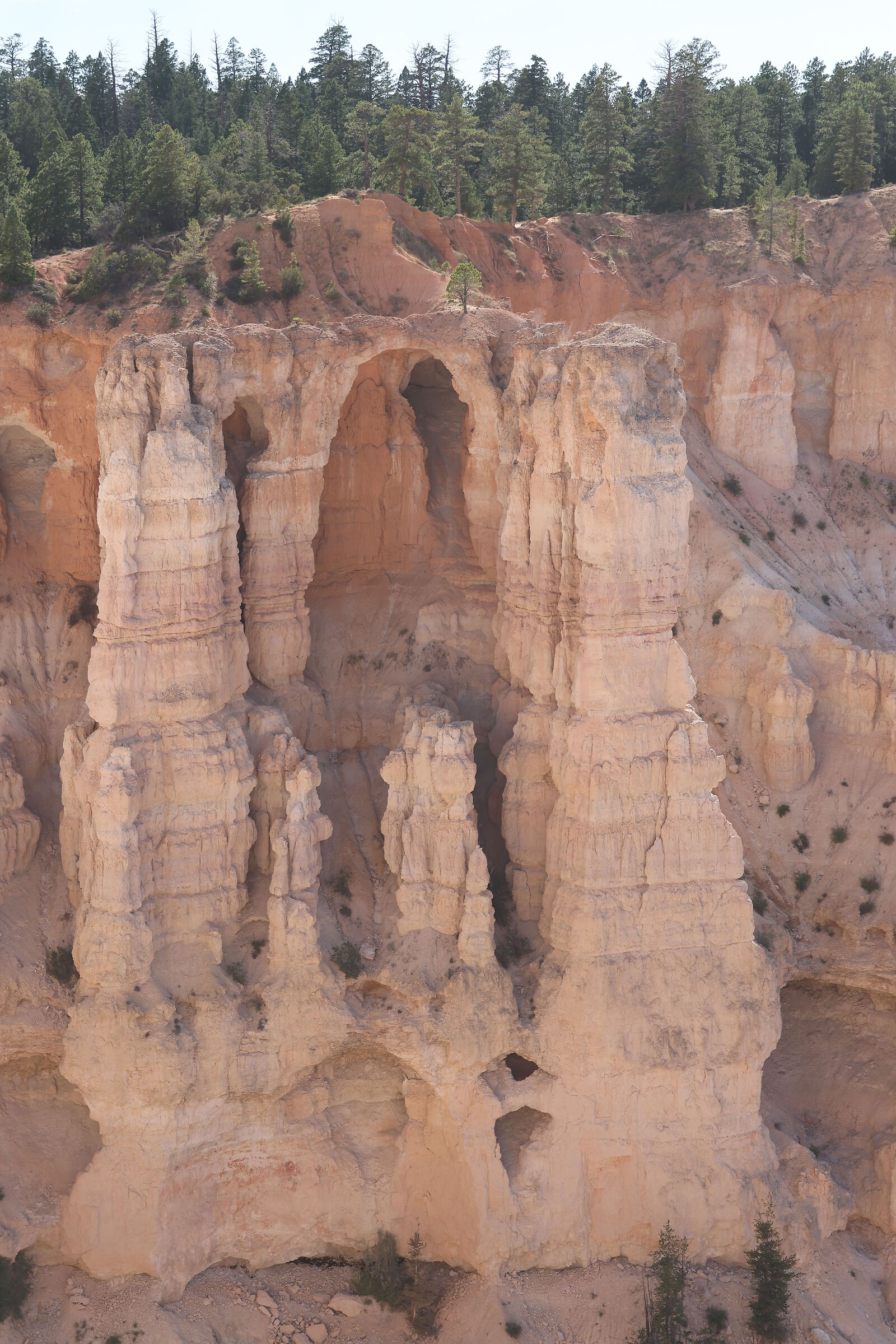 Bryce Canyon Nevada USA
