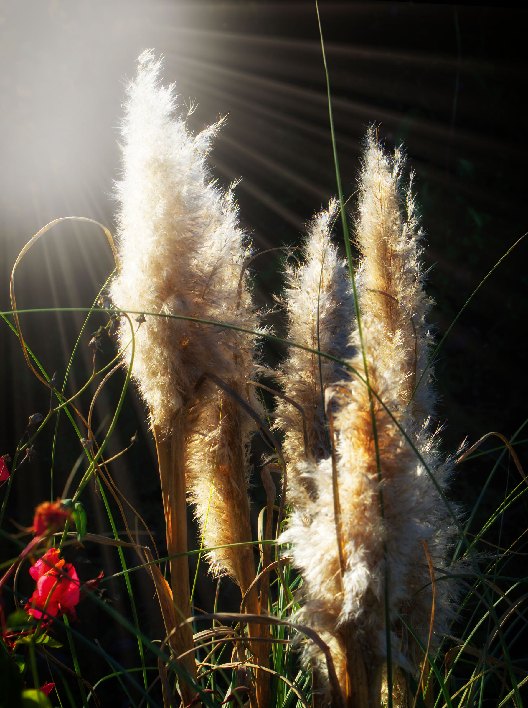 lungolago di Paratico