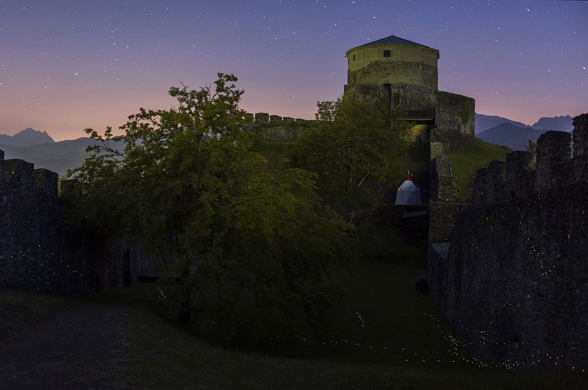 Fortezza delle Verrucole
