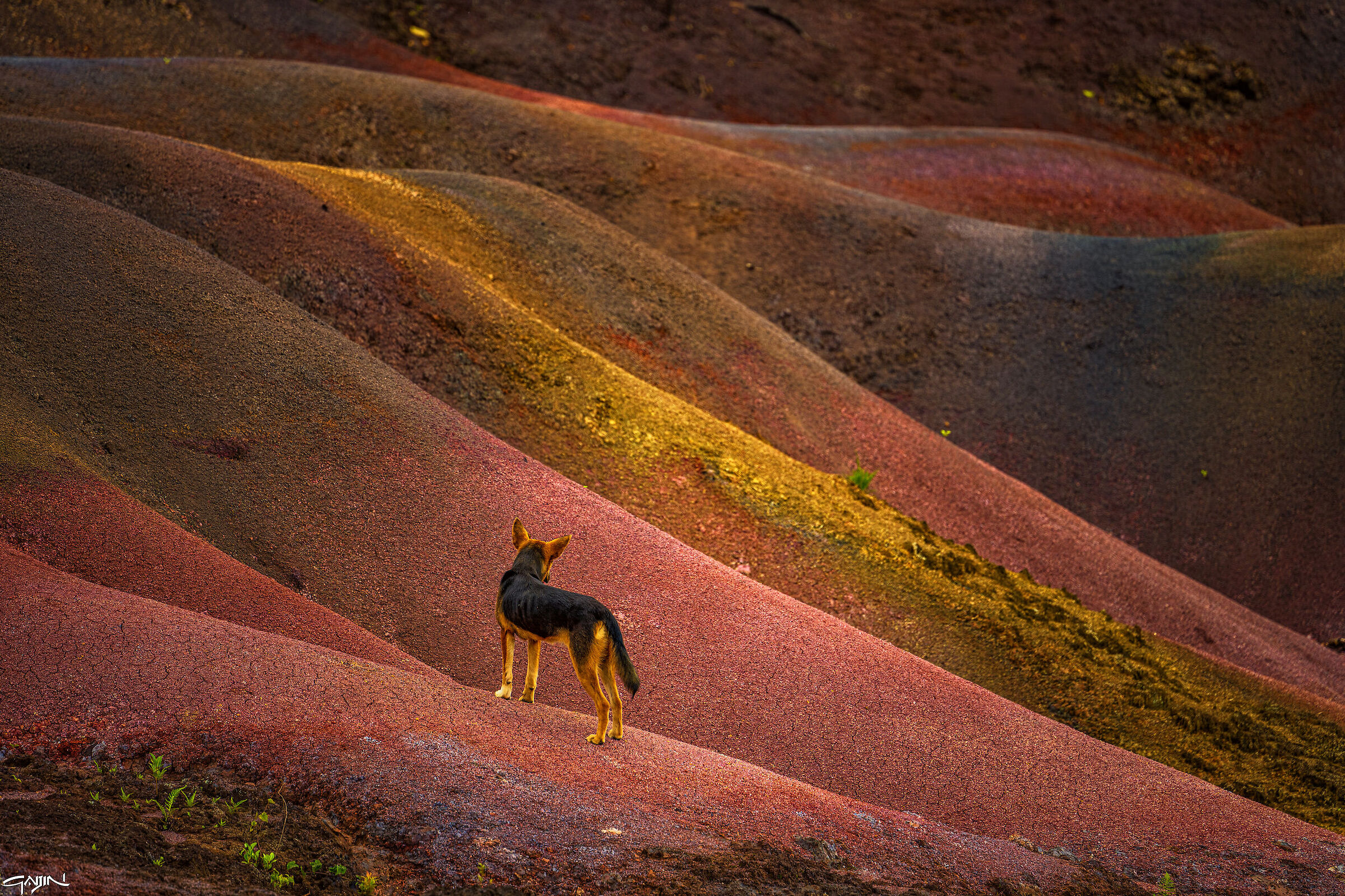 Le terre dei 7 colori