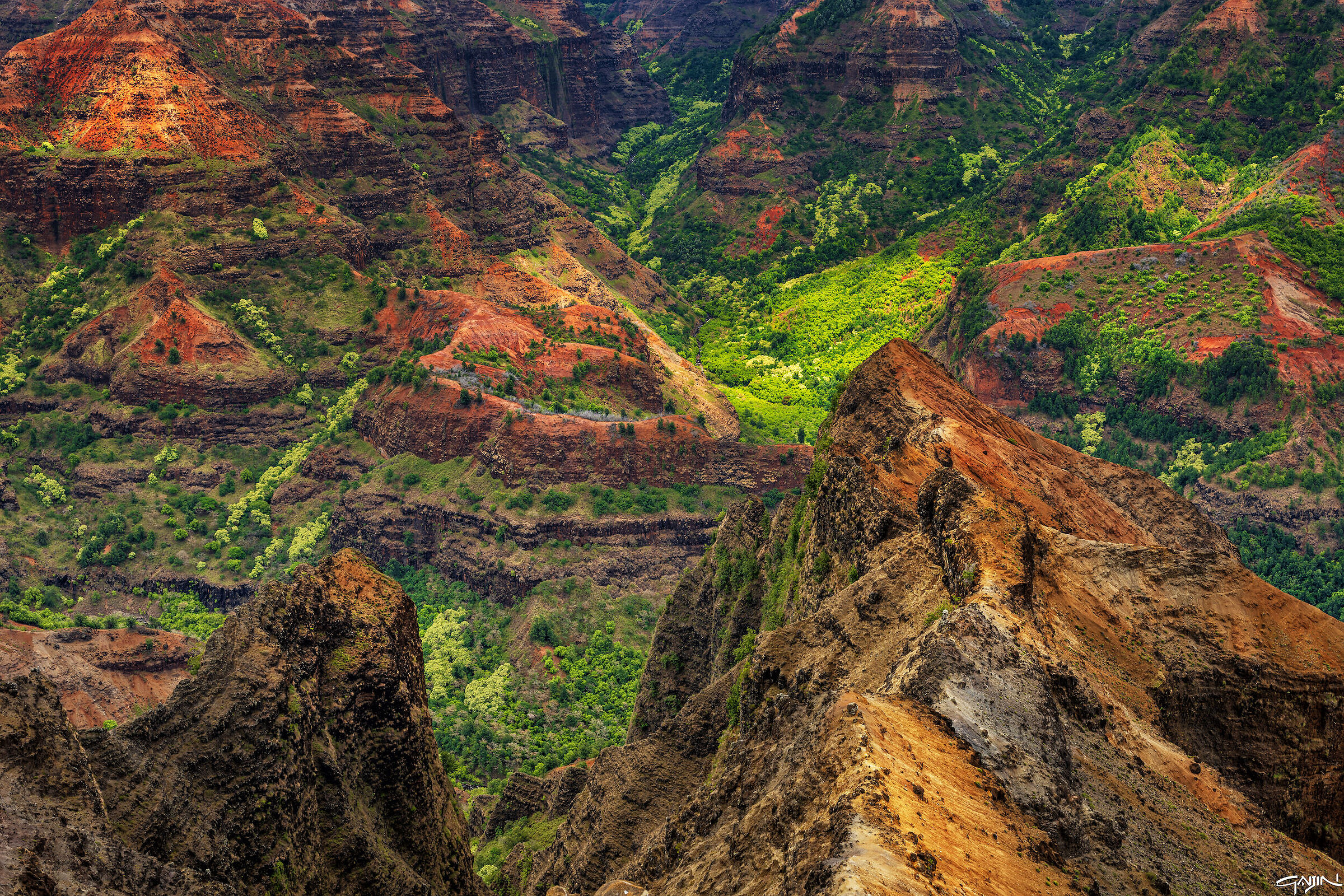 Il Grand Canyon del Pacifico - Kauai