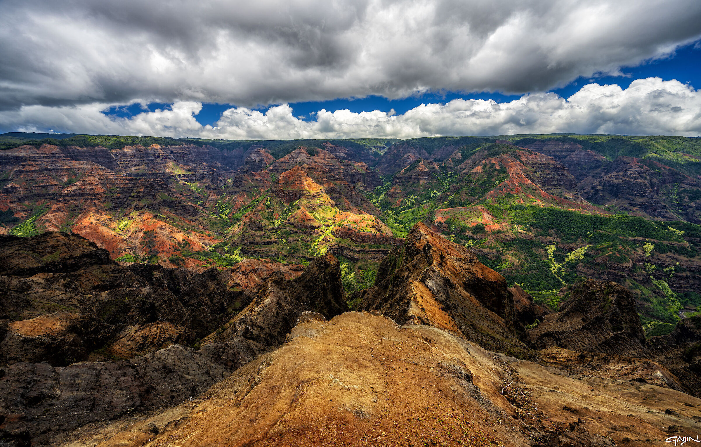 Il Grand Canyon del Pacifico - Kauai