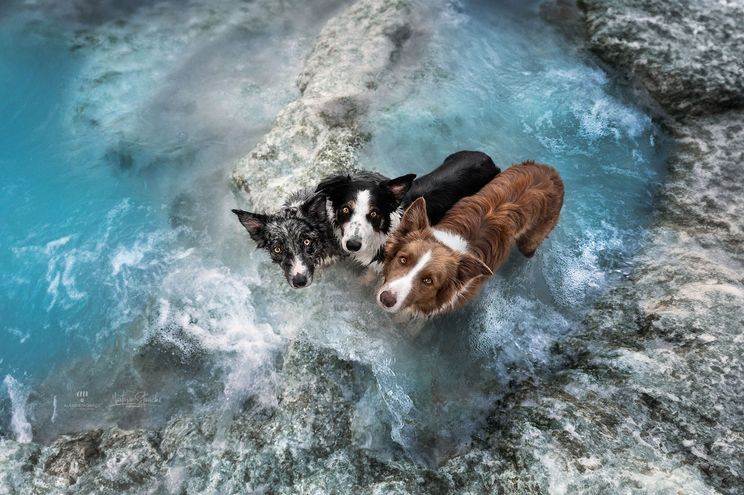 Un altro minuto nella spa, per favore!