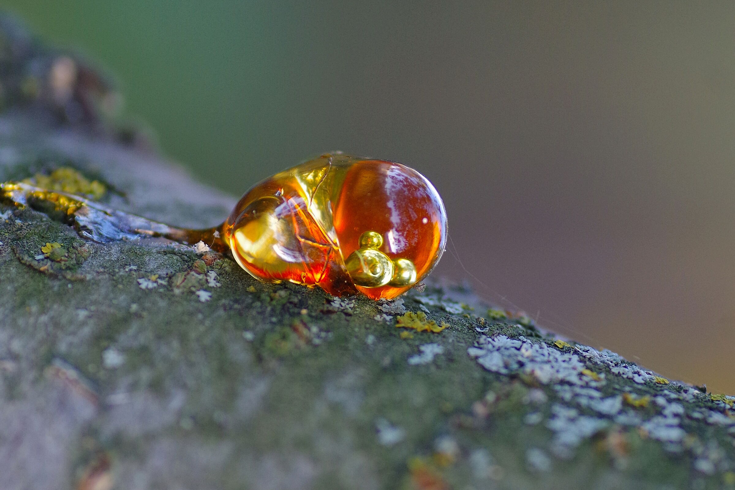 Drop of resin