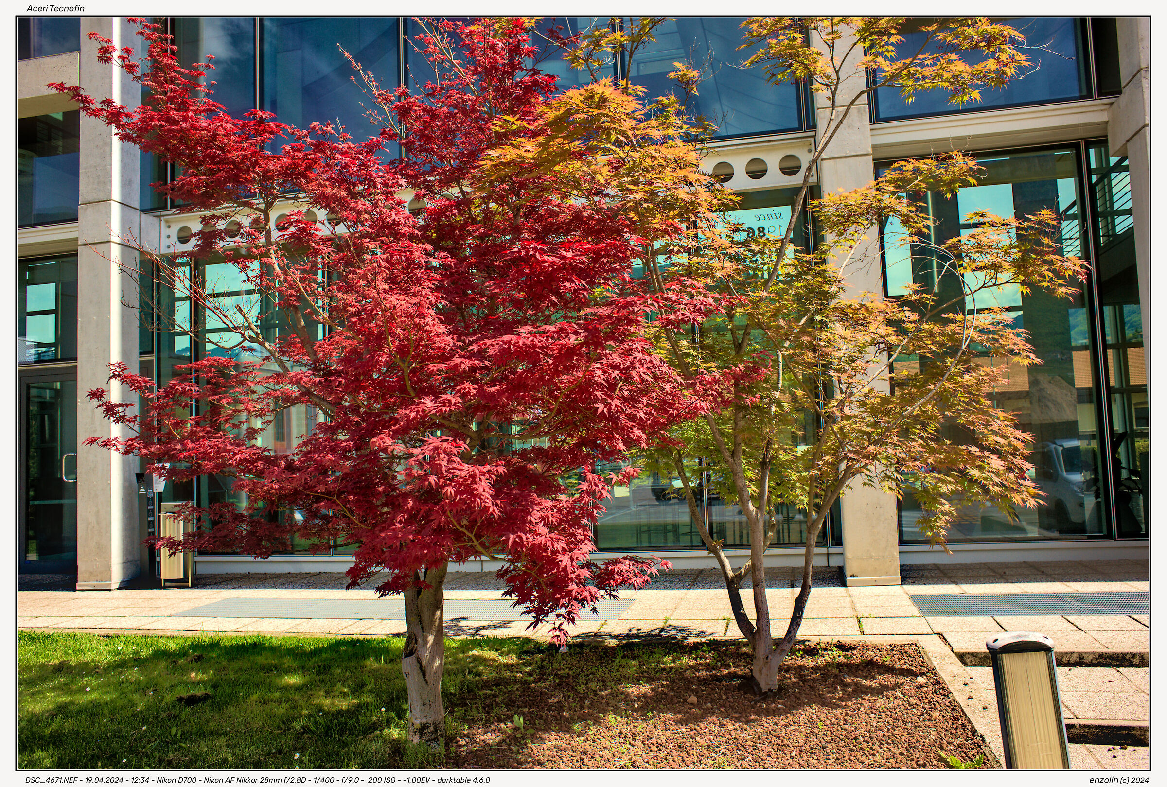 Maples Tecnofin