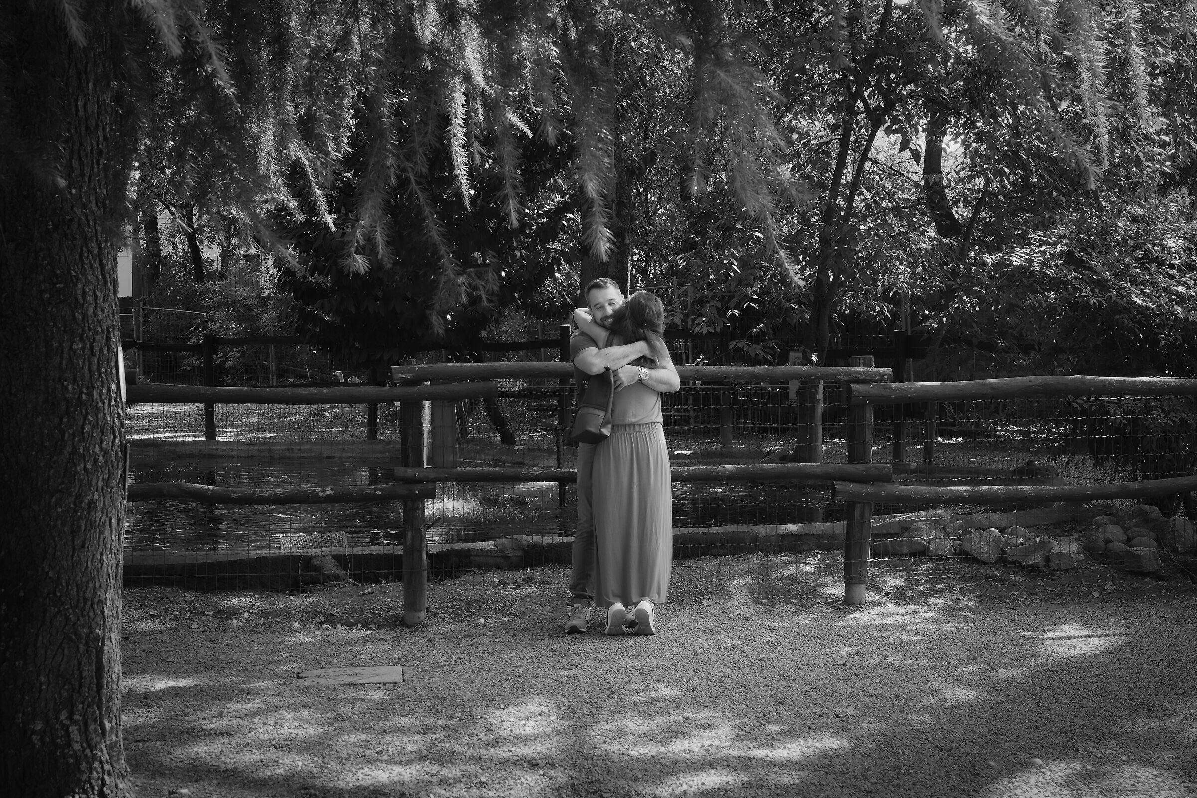Embrace