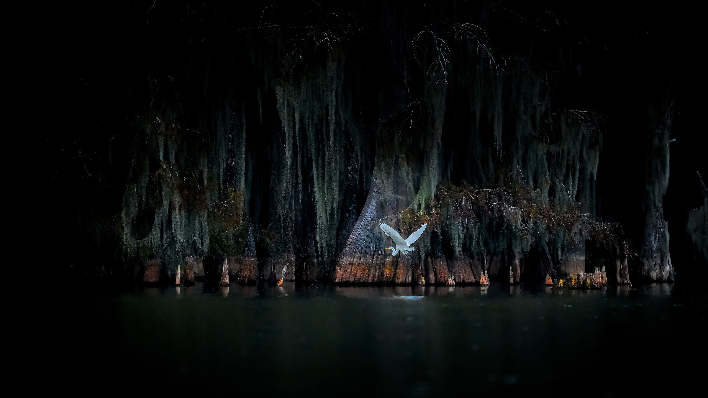 Atchafalaya Basin Louisiana