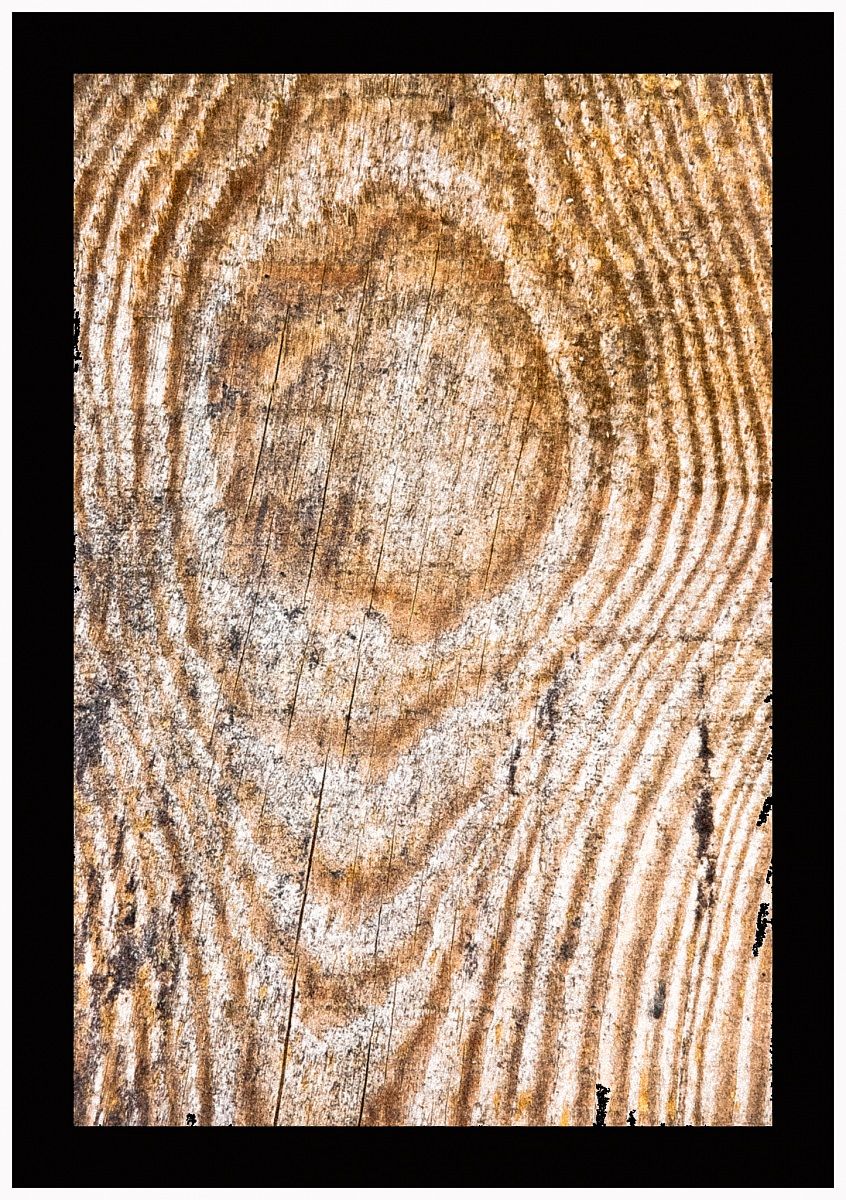 Le fantasie del legno 2