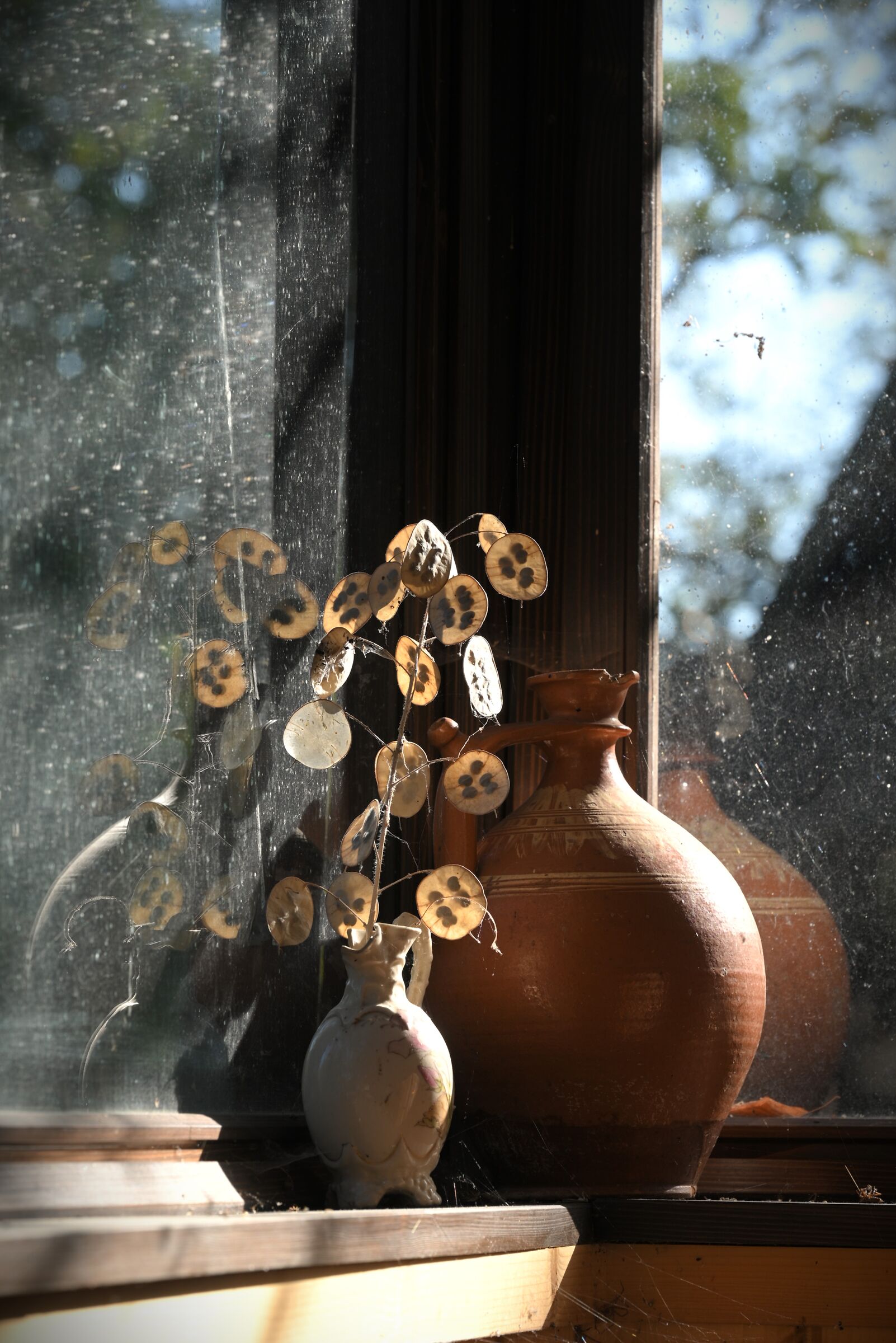 First morning of the astronomical autumn.