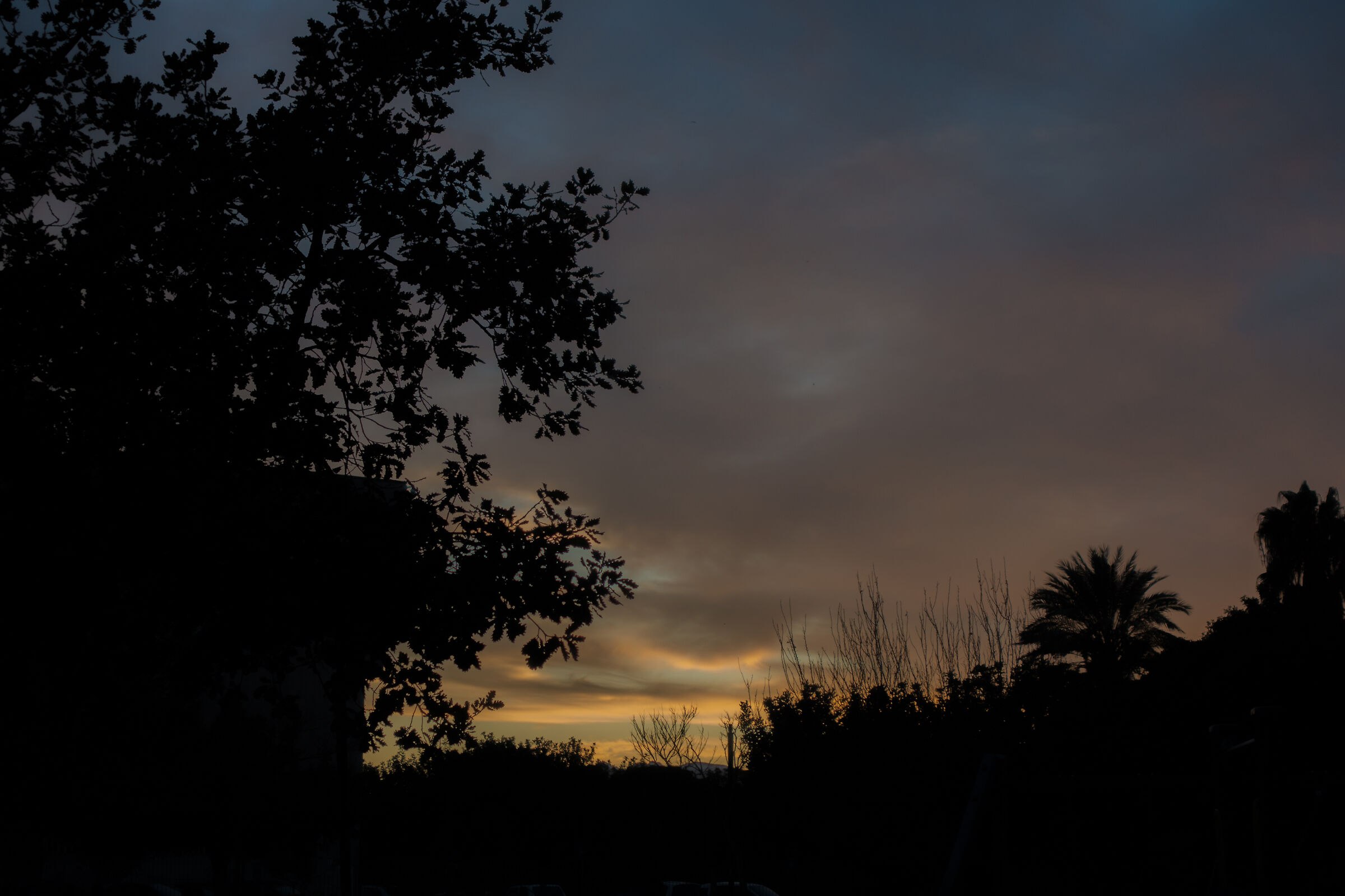 A clearing... Smoky. Appearances.