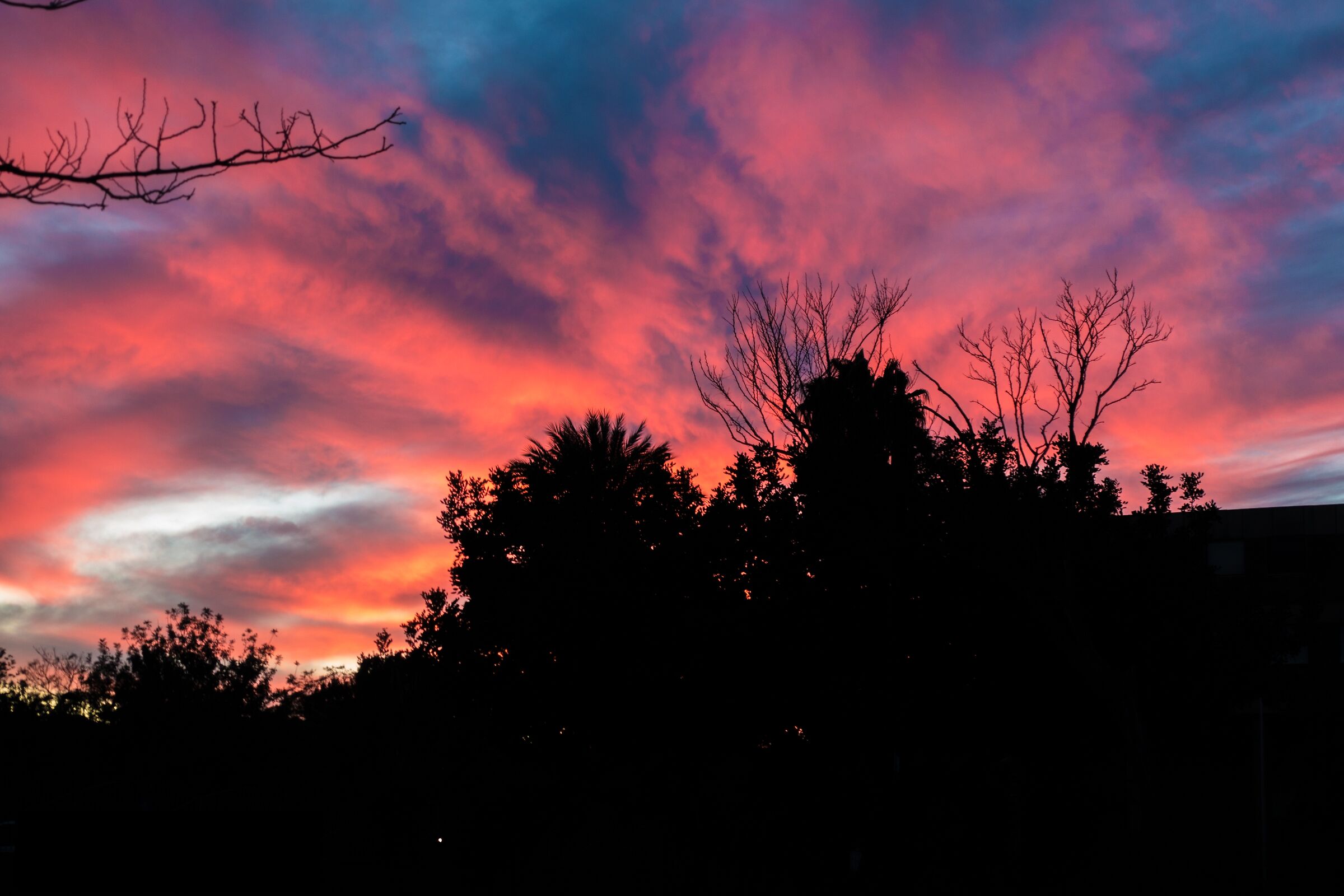Sunset of fire... in winter.