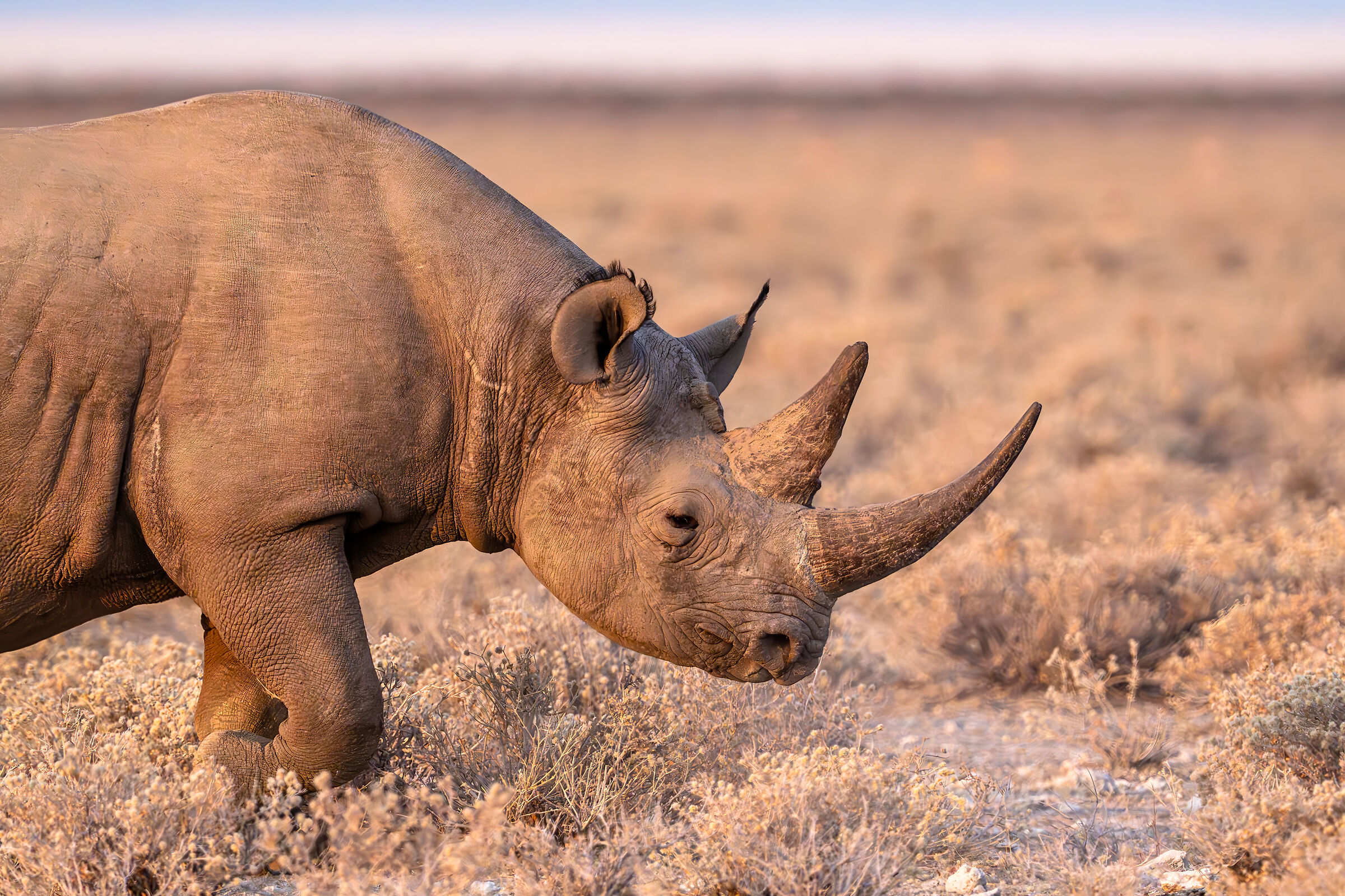 Il lento cammino del Nero al tramonto